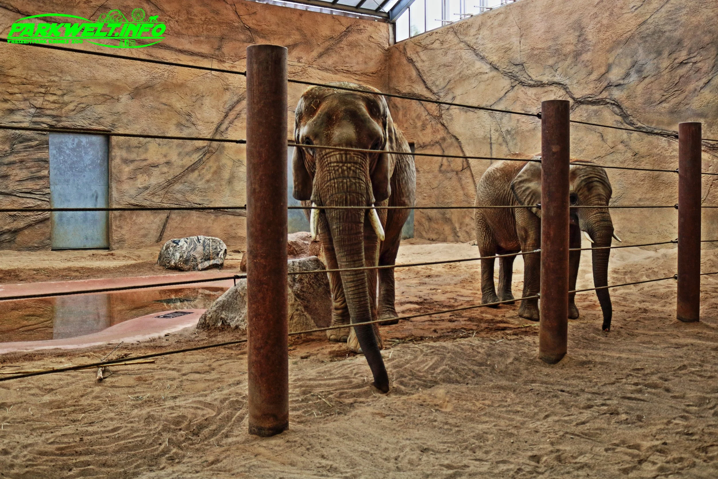 Opel Zoo Tierpark Tiere Hessen Ausflug Ausflugsziel Familie Wildpark Anfahrt Adresse Map Guide Parkplan Park Plan Info Infos Spielplatz