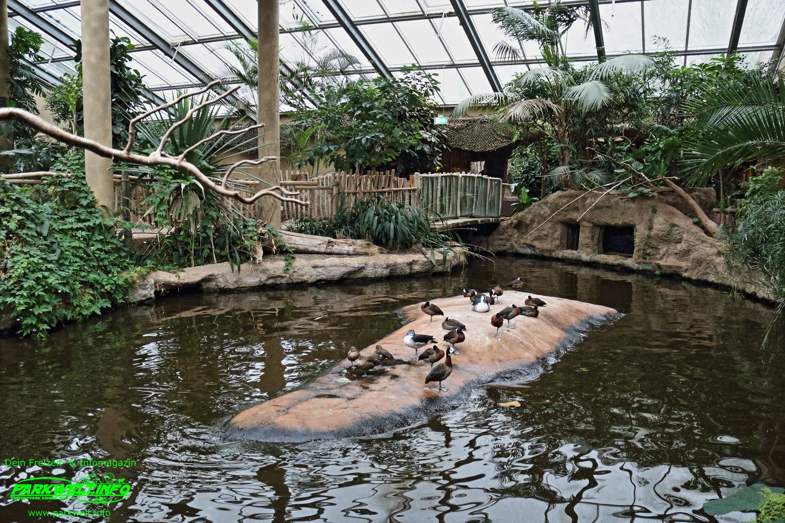 Zoom Erlebniswelt Gelsenkirchen Zoo Tierpark Nordrhein Westfalen Info Alaska Asien Afrika Adresse Familie  Bilder Park Plan Map Guide 