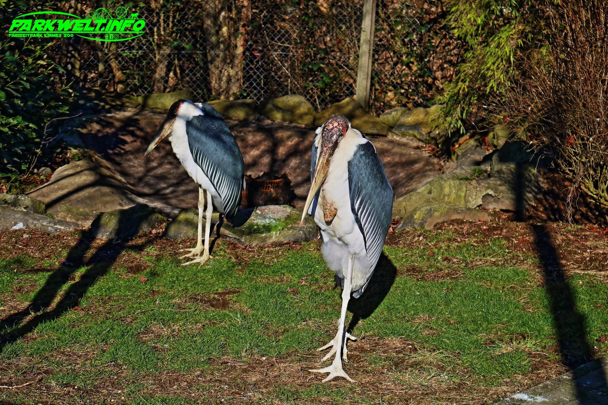 Zoo Neuwied Tiere Reptilien Aquarium Wildpark Rheinland Pfalz Park Plan Map Guide Infos Bilder Preise Öffnungszeiten Anfahrt Adresse