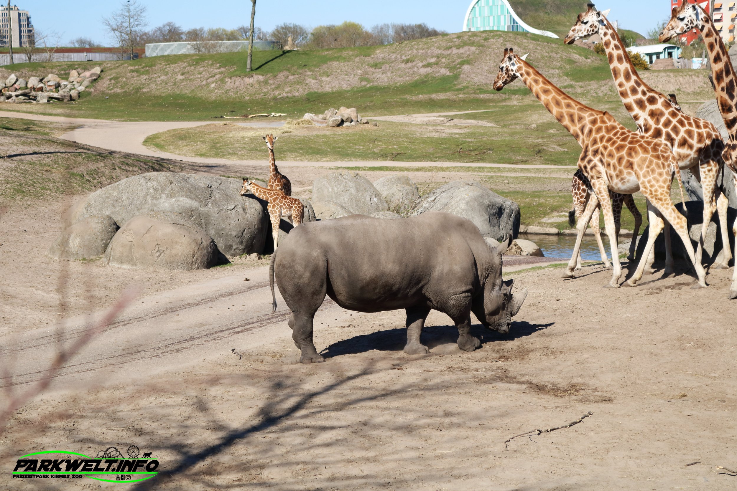 Wild Lands Wildlands Adventure Zoo Emmen Niederlande Netherlands Holland Park Plan Achterbahn Rollercoaster Safari Wildpark Ausflugsziel Attractiepark Themepark Freizeitpark Attraktionen Bilder Anfahrt Tweestryd Rimbula River Bootsfahrt