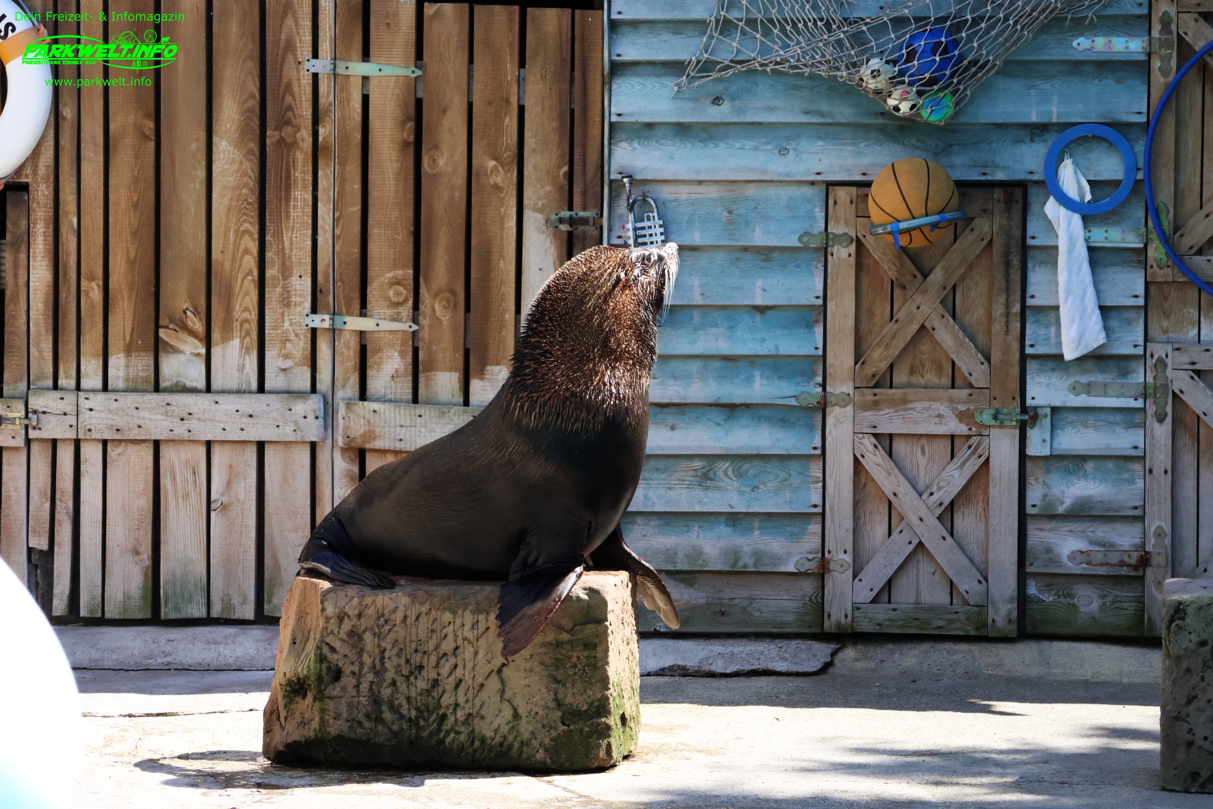 Ehemalige Attraktionen Erlebnispark Memleben – Freizeitpark, Tierpark und Familienausflugsziel in Sachsen-Anhalt