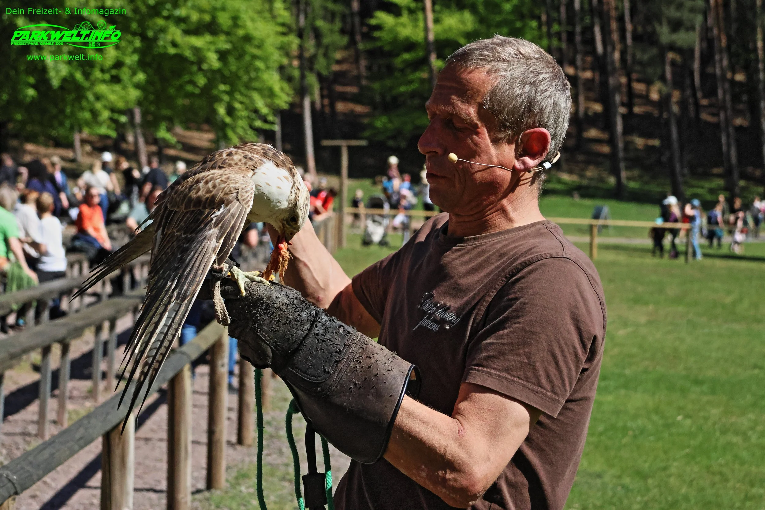 Kurpfalz Park Freizeitpark Wachenheim Tiere Attraktionen Wildpark Falknerei