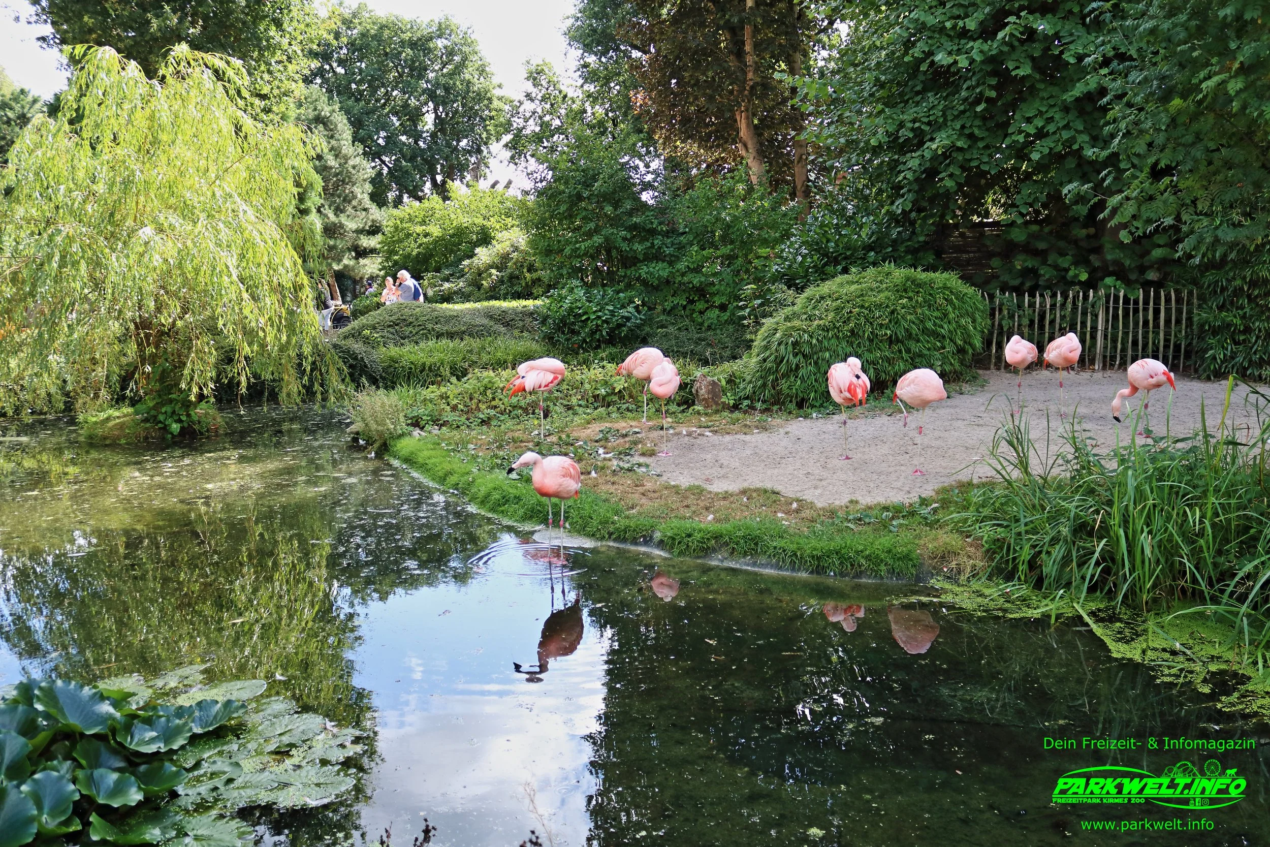 Jaderpark Tierpark Freizeitpark Jade Themepark Achterbahn Wasserbahn Attraktionen Info News Park Plan Map Guide Adresse Fahrgeschäfte Tiere 