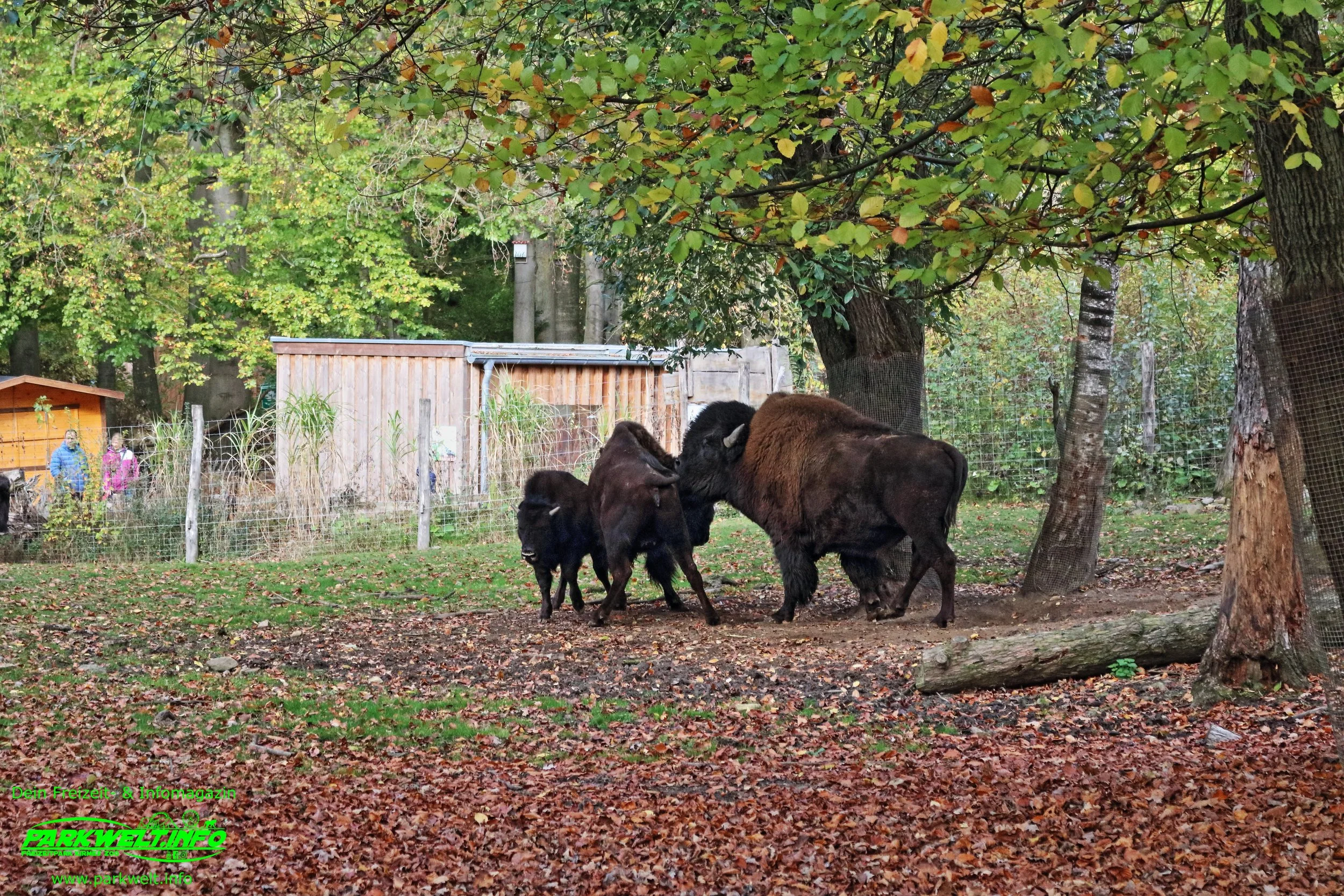 Zoo Osnabrück Niedersachsen Wildpark Infos Tiere Parkplan Park Plan Adresse Anfahrt Parkplatz Preise Aquarium