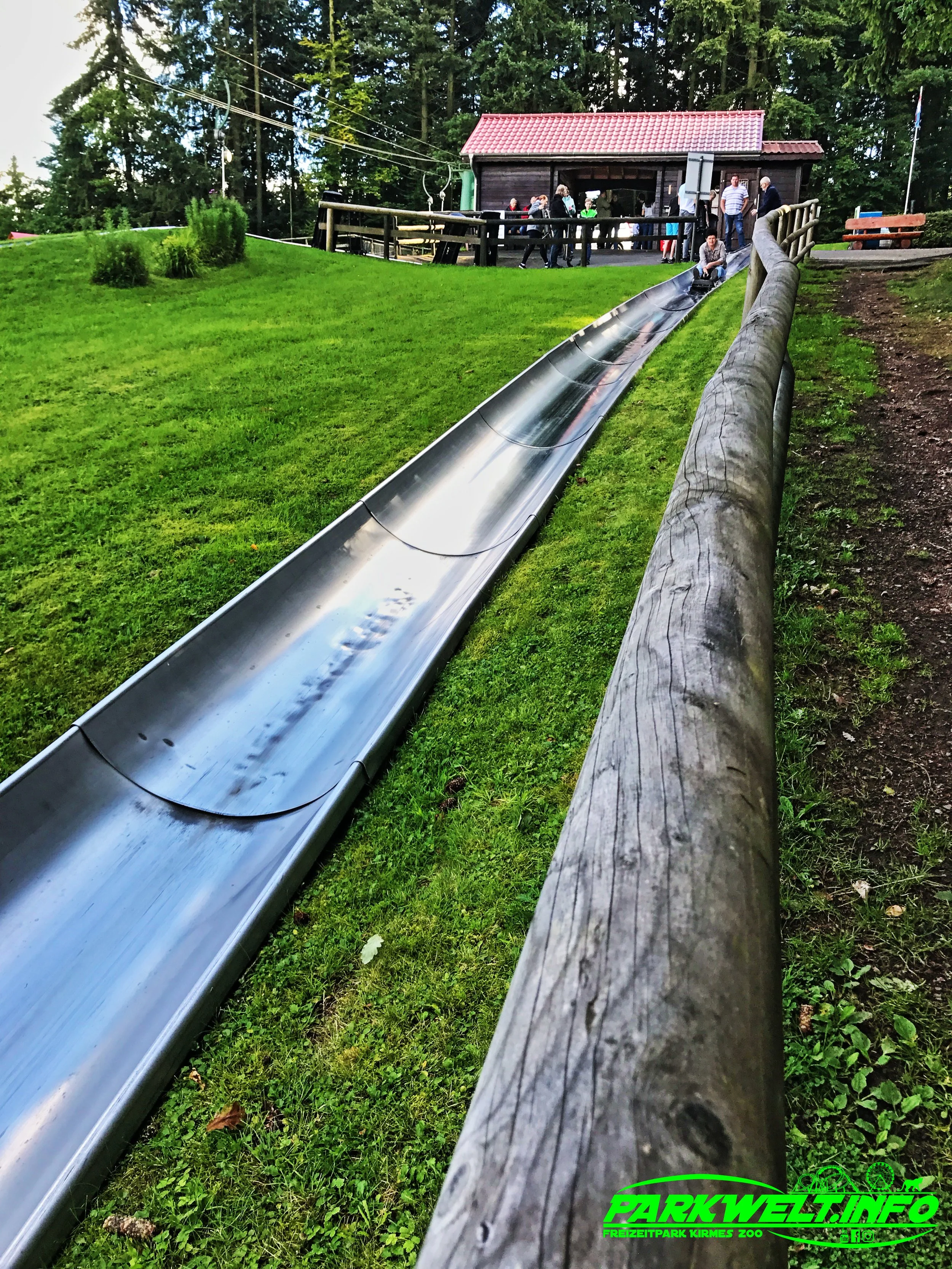 Wild Erlebnispark Daun Wildpark Wildsafari Wildtiere Zoo Freizeitpark Daun Tiere Anfahrt Sommerrodelbahn Auto Affenschlucht Map Guide Adresse Preise Park Plan Fotos Video Bilder Attraktionen