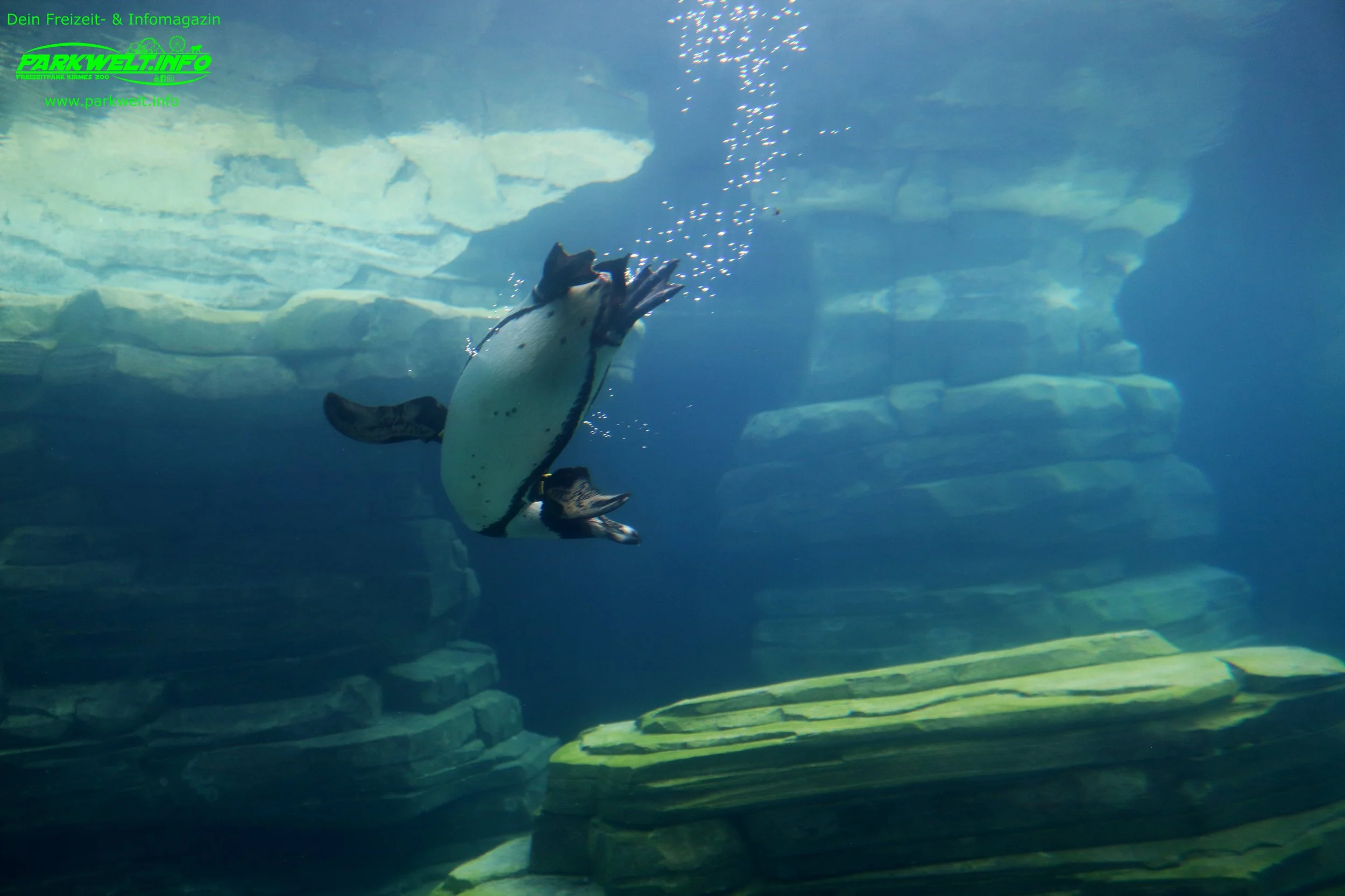Zoo Amneville Tierpark Frankreich Tiere Ausflug Park Plan Plan du Parc Öffnungszeiten Adresse Parkplatz Familie 