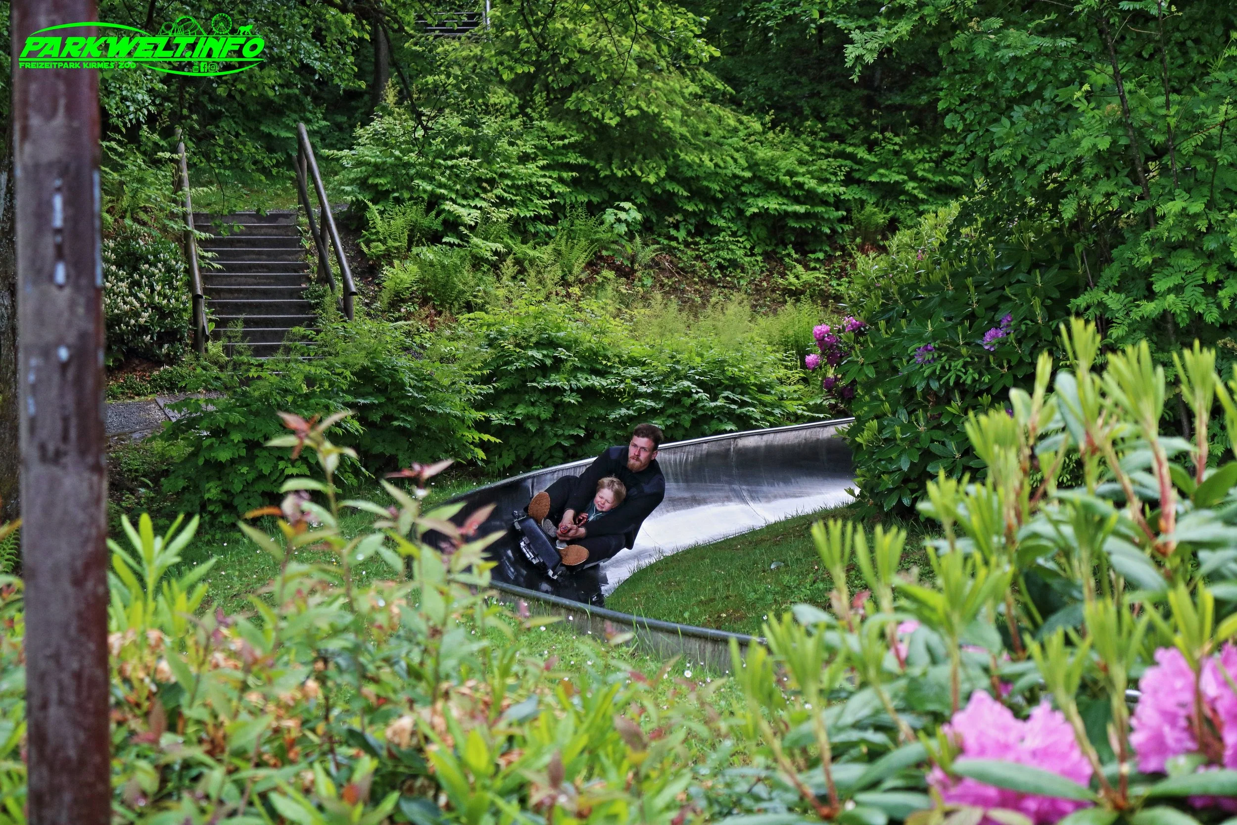 Fichtenflitzer Wiegand Rodelbahn Sommer Rodel Bahn Panorama Park Sauerland Freizeitpark Ausflugsziel Wildpark Rodelbahn Sommer Ausflugsziel Familien Ausflug Info Attraktionen Fahrgeschäfte Tiere