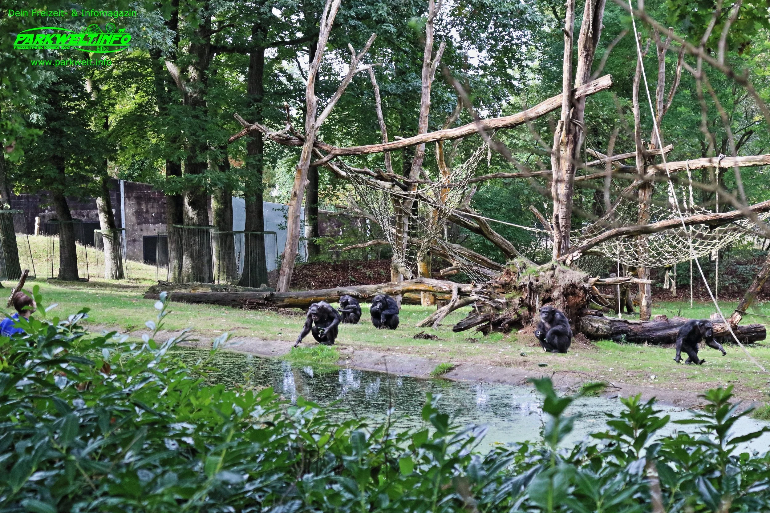 Burgers Zoo Arnhein Niederlande Holland Tierpark Wildpark Tiere Zoo Wild Tiere Info Park Plan Map Guide Anfahrt Adresse