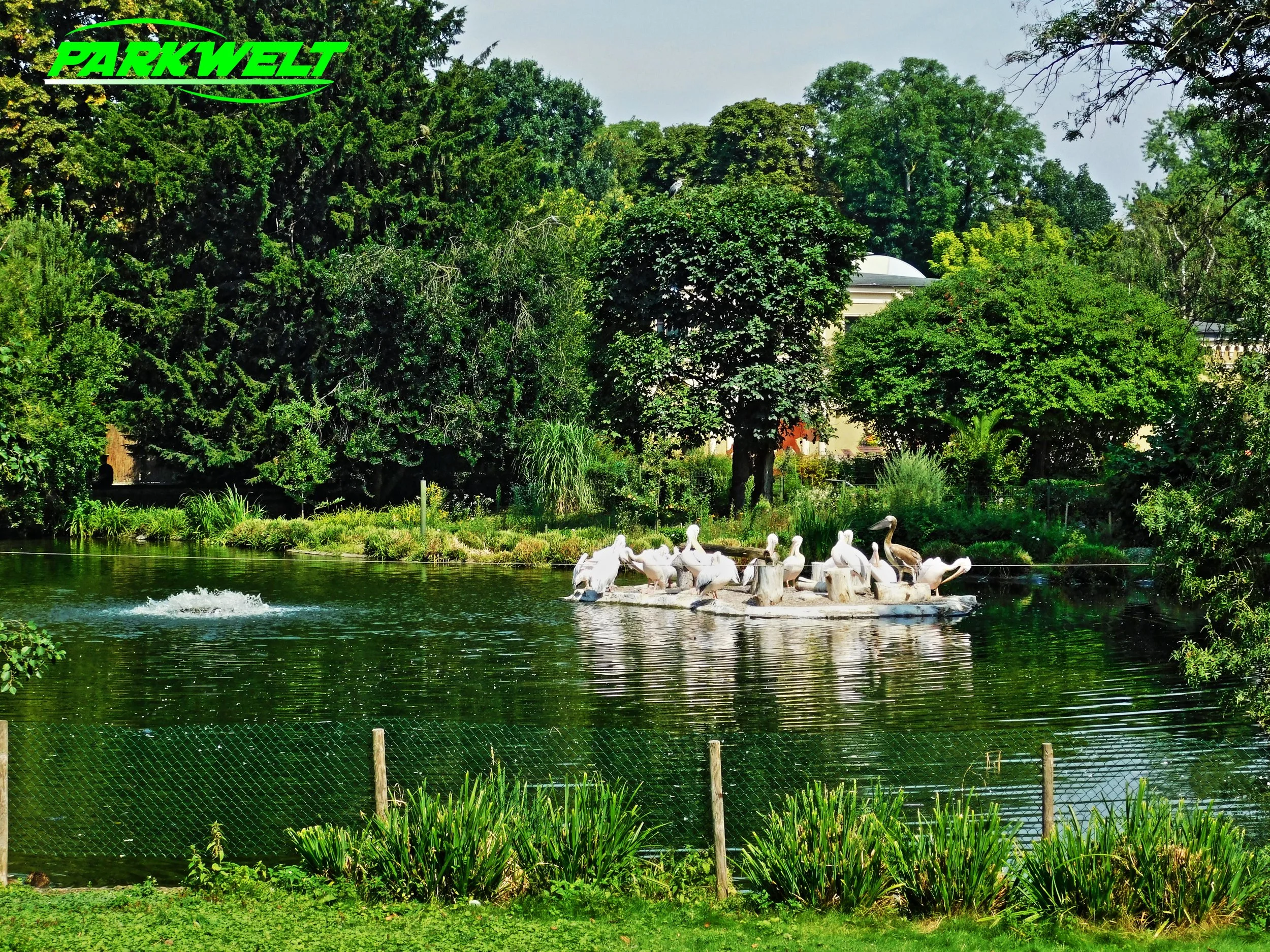 Kölner Zoo Tiere Wildpark Zoologischer Garten Reptilien Aquarium Köln Park Plan Guide Map Info Anfahrt Adresse