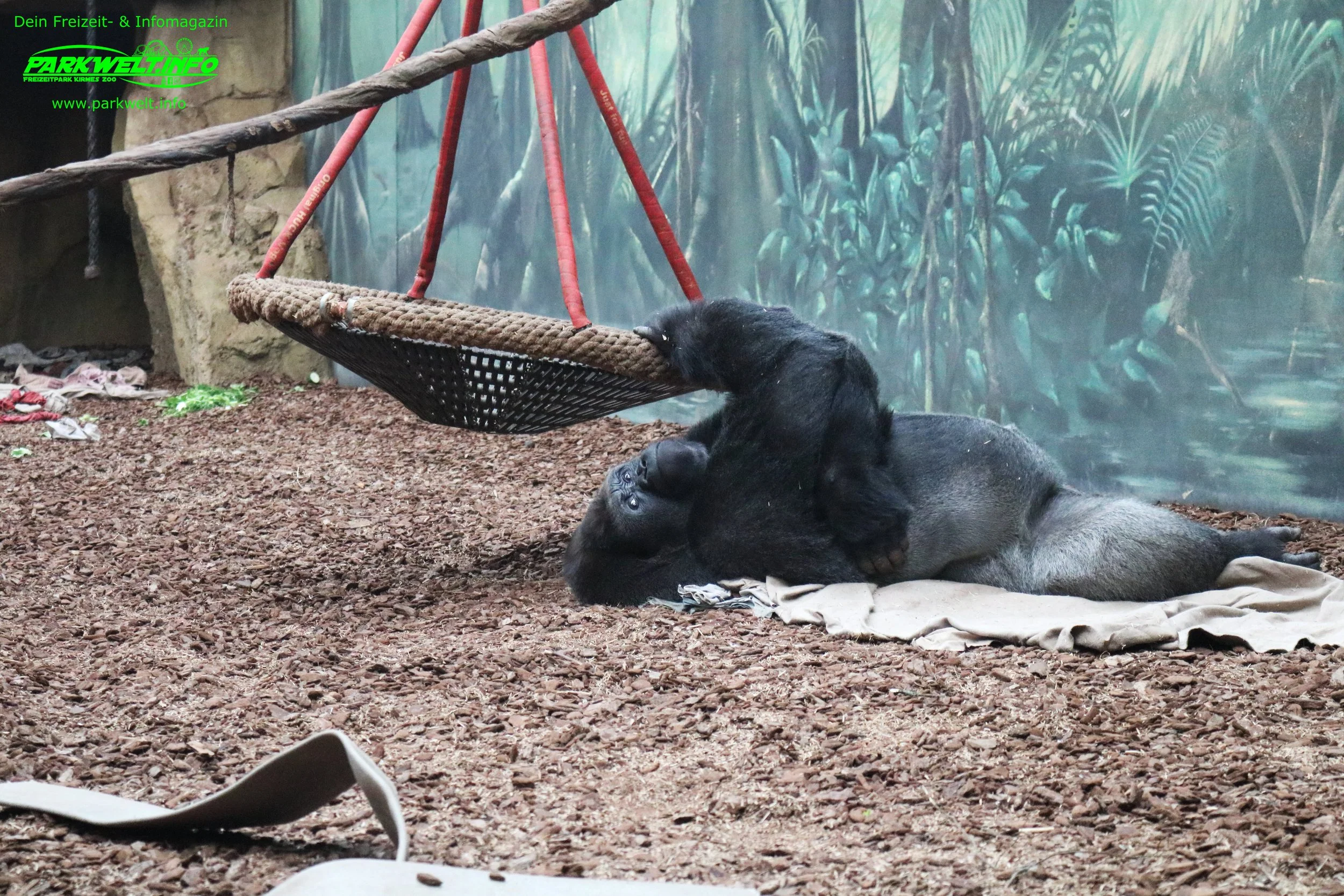 Zoo Amneville Tierpark Frankreich Tiere Ausflug Park Plan Plan du Parc Öffnungszeiten Adresse Parkplatz Familie 