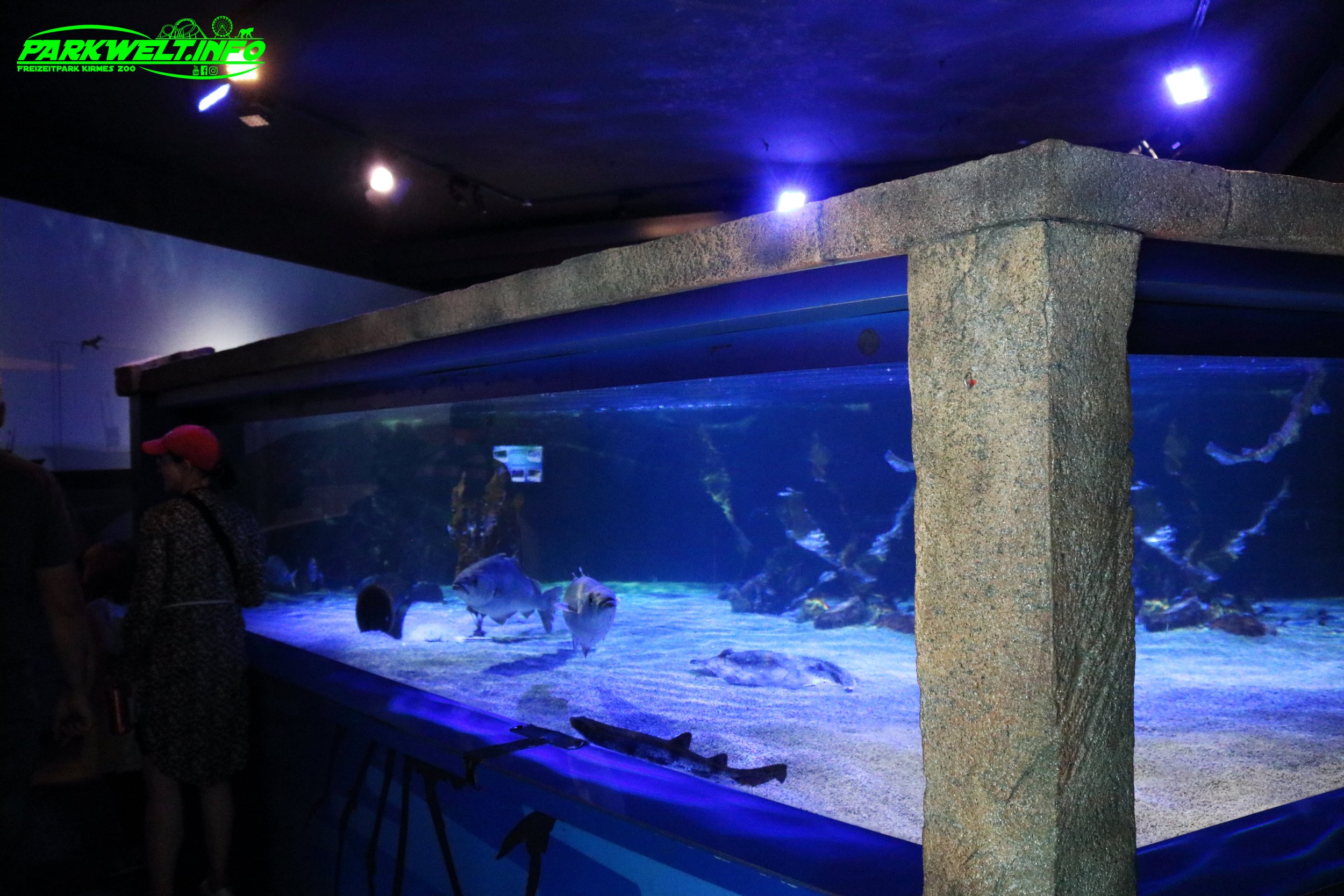Sea Life Timmendorfer Strand Aquarium Infos Bilder Anfahrt Parkplatz Adresse Attraktionen Preise