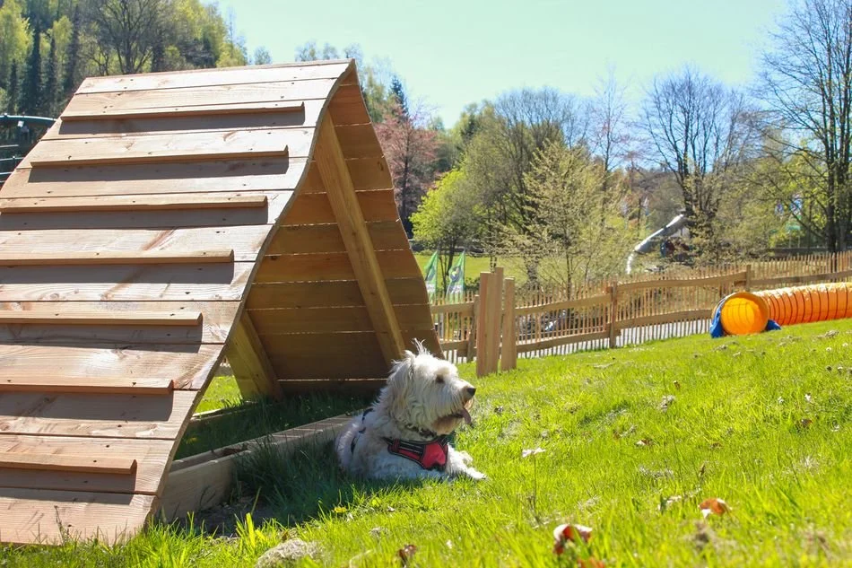 FORT FUN eröffnet „Speed Dog Arena“ am 1. Mai 2026 – Deutschlands erster Hundespielplatz in einem Freizeitpark