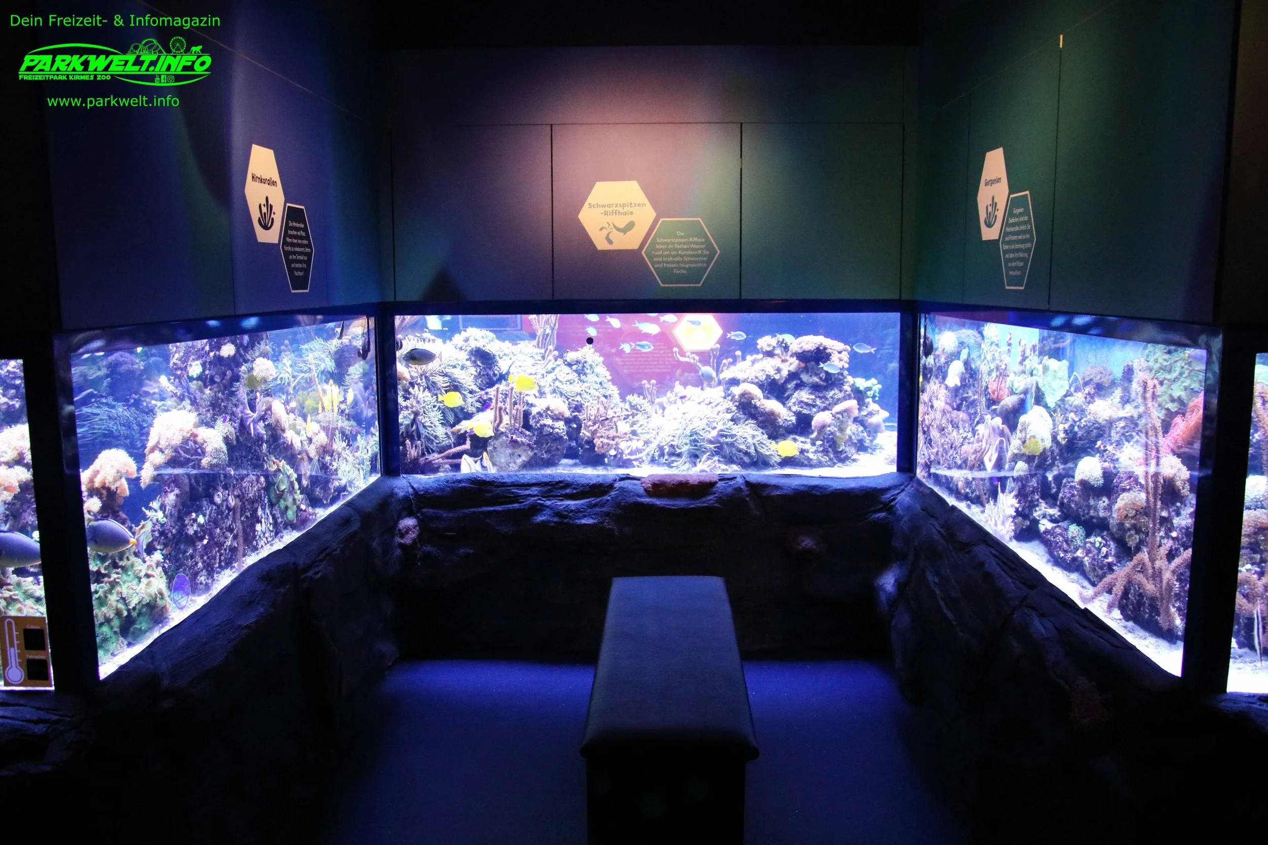 sea life speyer rheinland pfalz ausflugsziel aquarium info news bilder adresse merlin rabatt parkplatz adresse preise