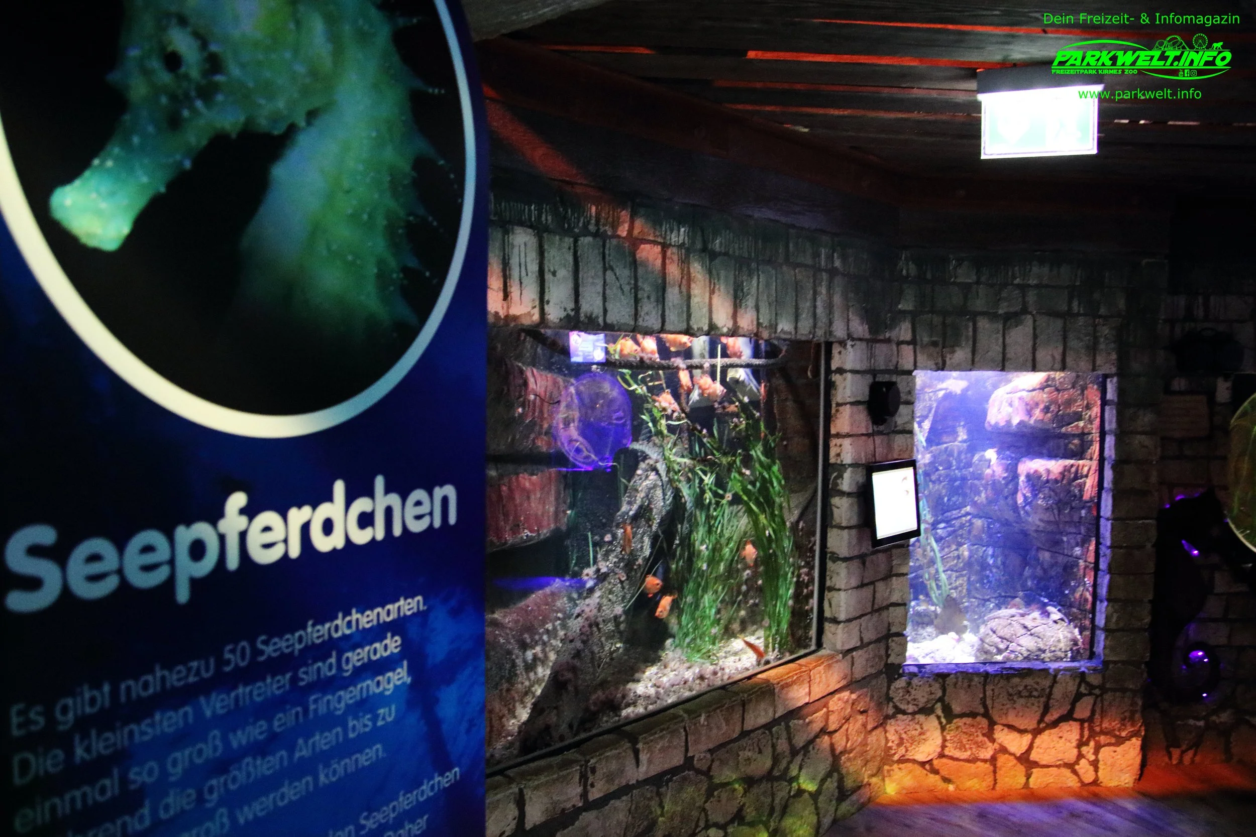 sea life speyer rheinland pfalz ausflugsziel aquarium info news bilder adresse merlin rabatt parkplatz adresse preise