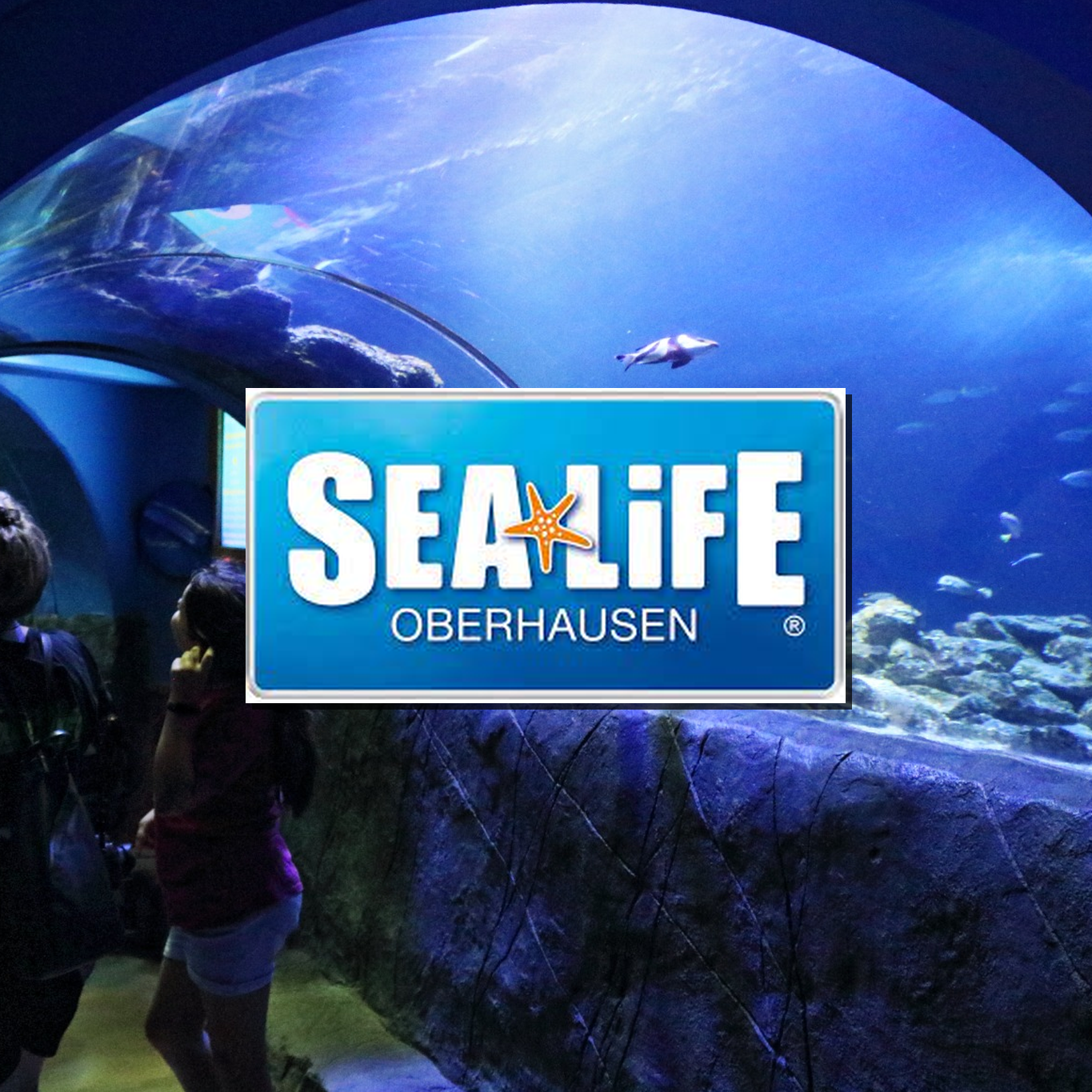 Aquarium mit Fischen und Meereslebewesen Sea Life Oberhausen Nordrhein Westfalen Aquarium Ausflugsziel Bilder Parkplan Park Plan map guide Adresse Anfahrt Info Preise Ticket Centro