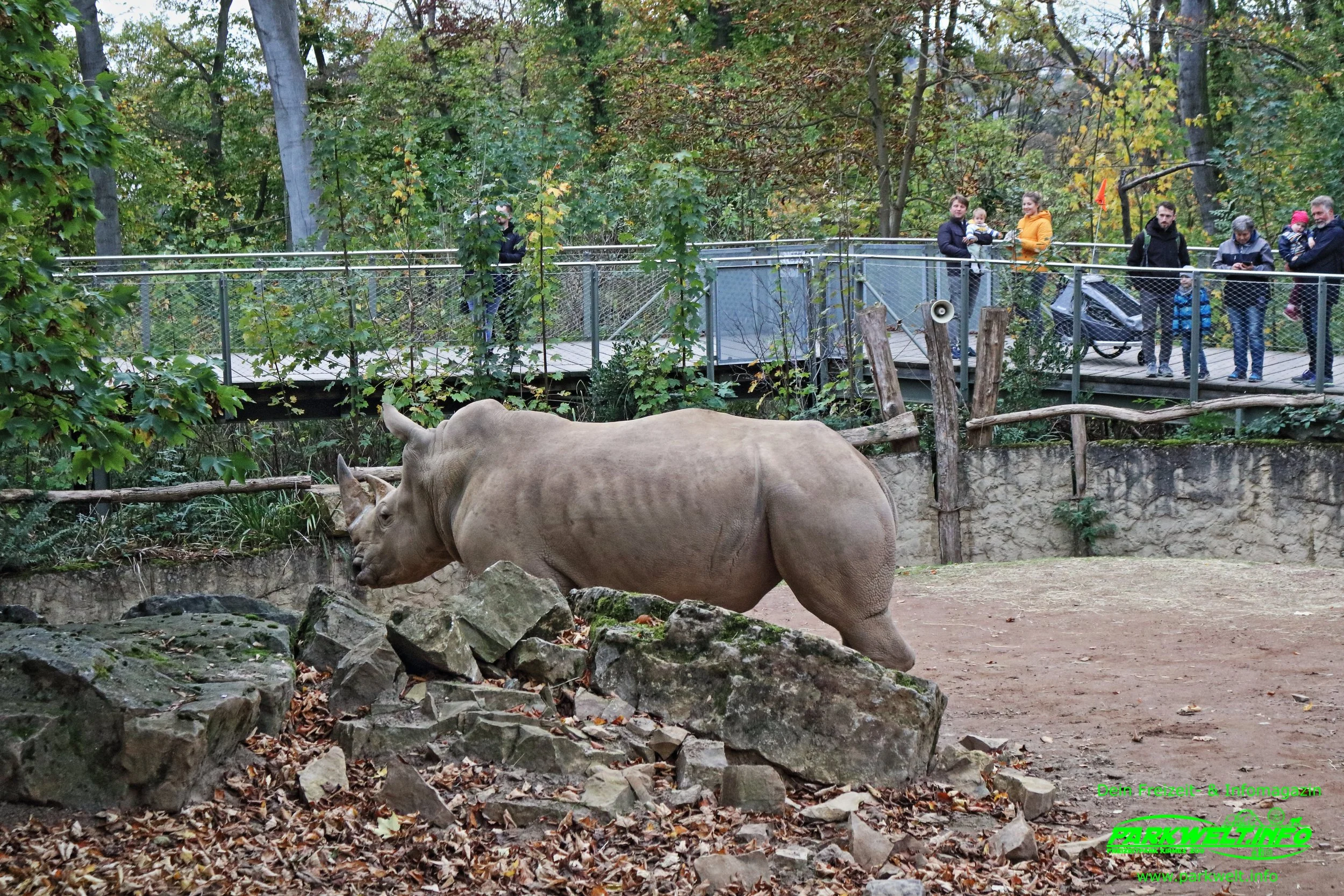 Zoo Osnabrück Niedersachsen Wildpark Infos Tiere Parkplan Park Plan Adresse Anfahrt Parkplatz Preise Aquarium