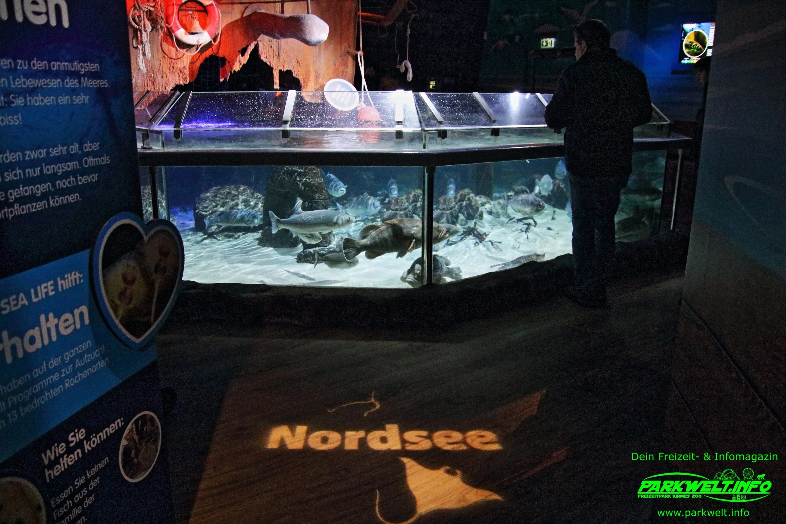 sea life speyer rheinland pfalz ausflugsziel aquarium info news bilder adresse merlin rabatt parkplatz adresse preise
