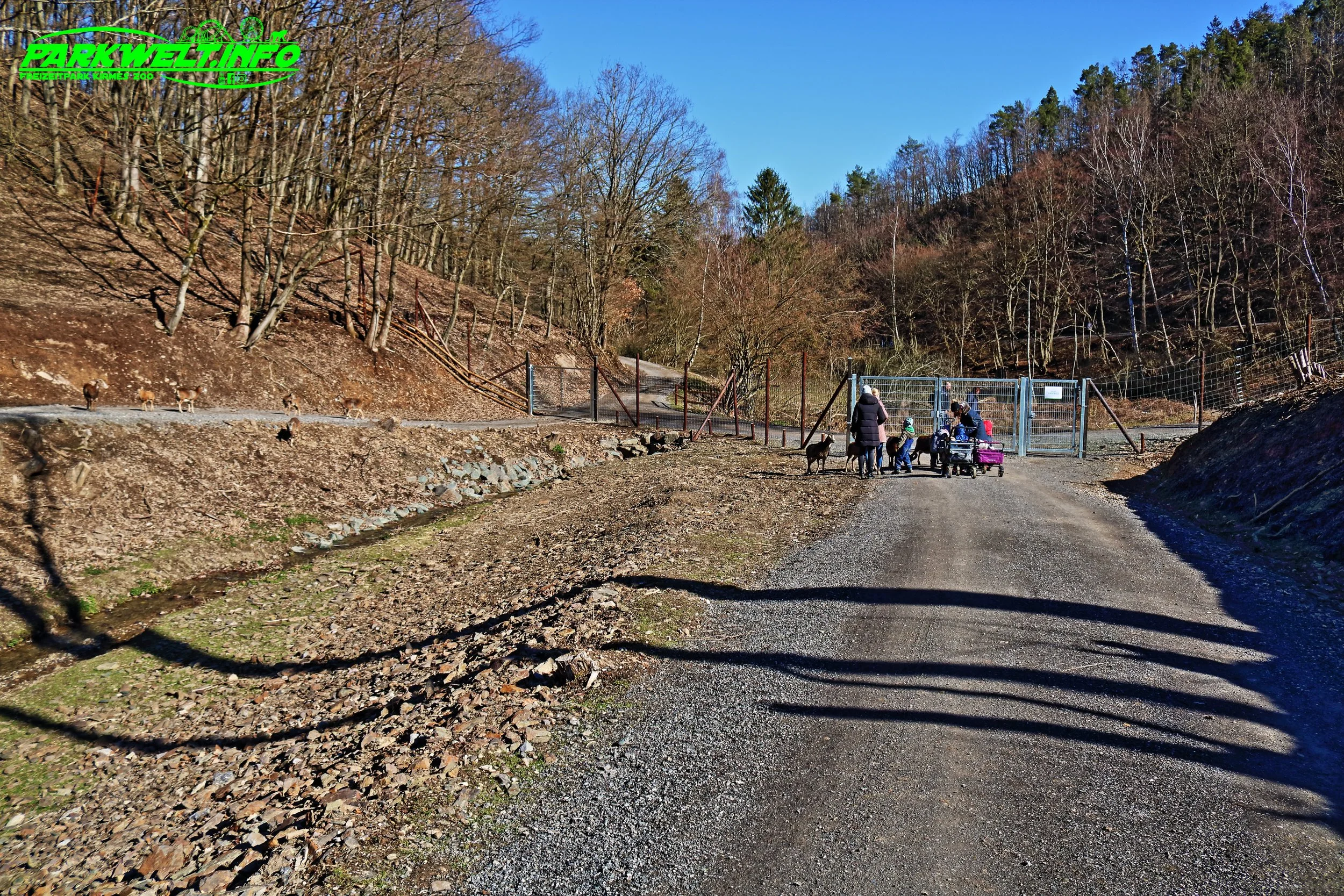 Wildpark Schmidt Tiere Zoo Infos News Park Plan Map Guide Adresse Parken Bilder Fotos Park Plan