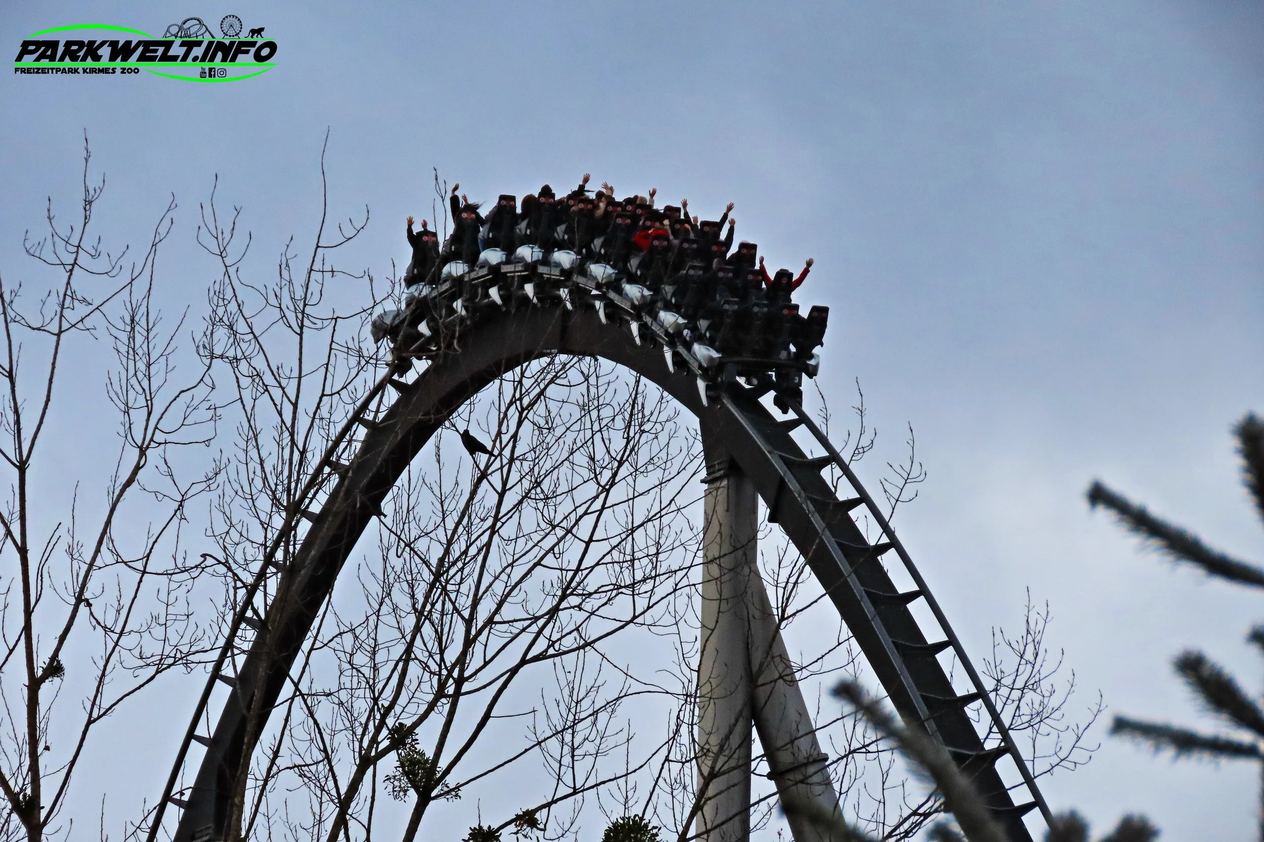 Silver Star Hypercoaster Rollercoaster Bollinger Marbillard Mack Rides  Europa Park Rust Attraktionen Fahrgeschäfte Achterbahn Info Anfahrt Preise Guide Park Plan Map Rulantica Freizeit Coaster Bilder Galerie Veranstaltungen Übernachtung Information