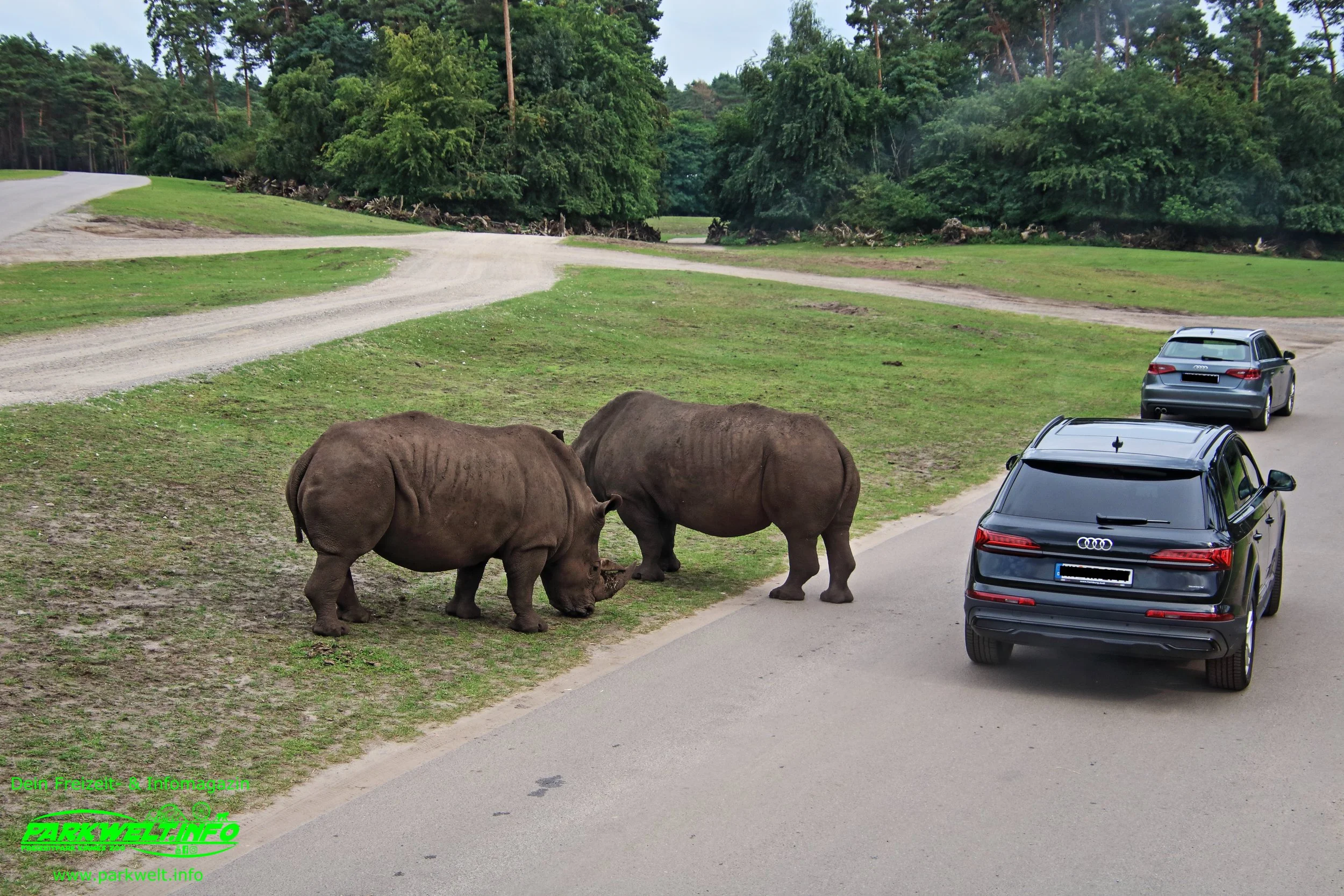 Serengeti Park Hodenhagen Freizeitpark Themepark Amusementpark Attraktionen Tiere Wildtiere Safari Achterbahn Rollercoaster Coaster Safaripark Info Map Guide Park Plan