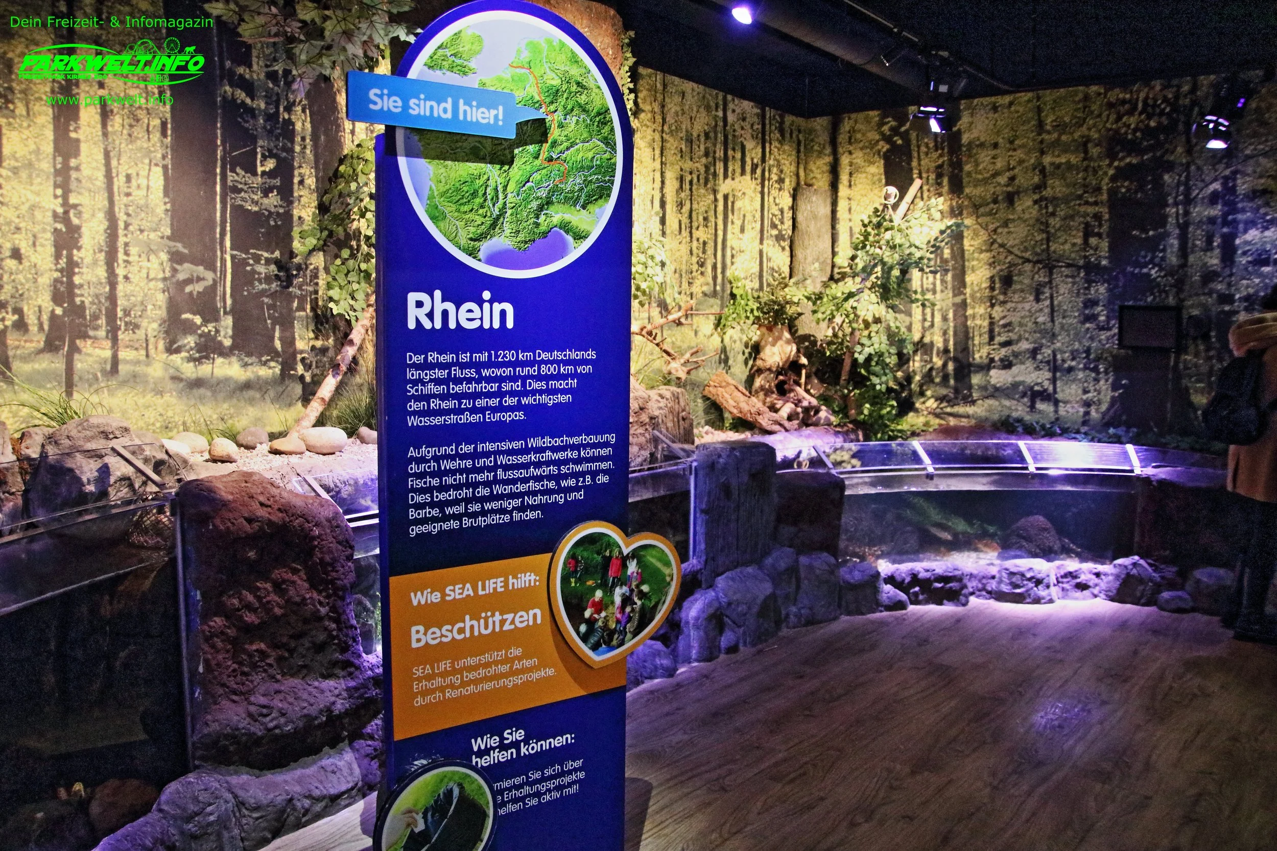 sea life speyer rheinland pfalz ausflugsziel aquarium info news bilder adresse merlin rabatt parkplatz adresse preise