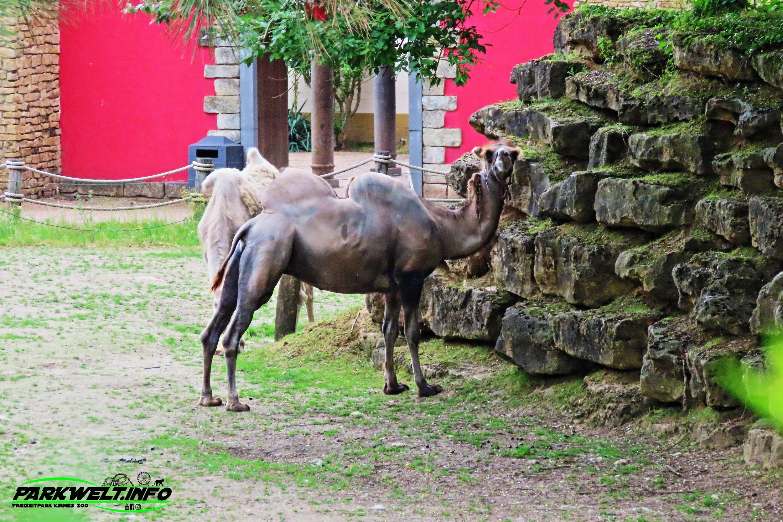 Mondo Verde Landgraaf Niederlande Holland Freizeitpark Zoo Wildpark Weltpark Gärten Blumen Attraktionen Fahrgeschäfte Infos Bilder Attractiepark Achterbahn