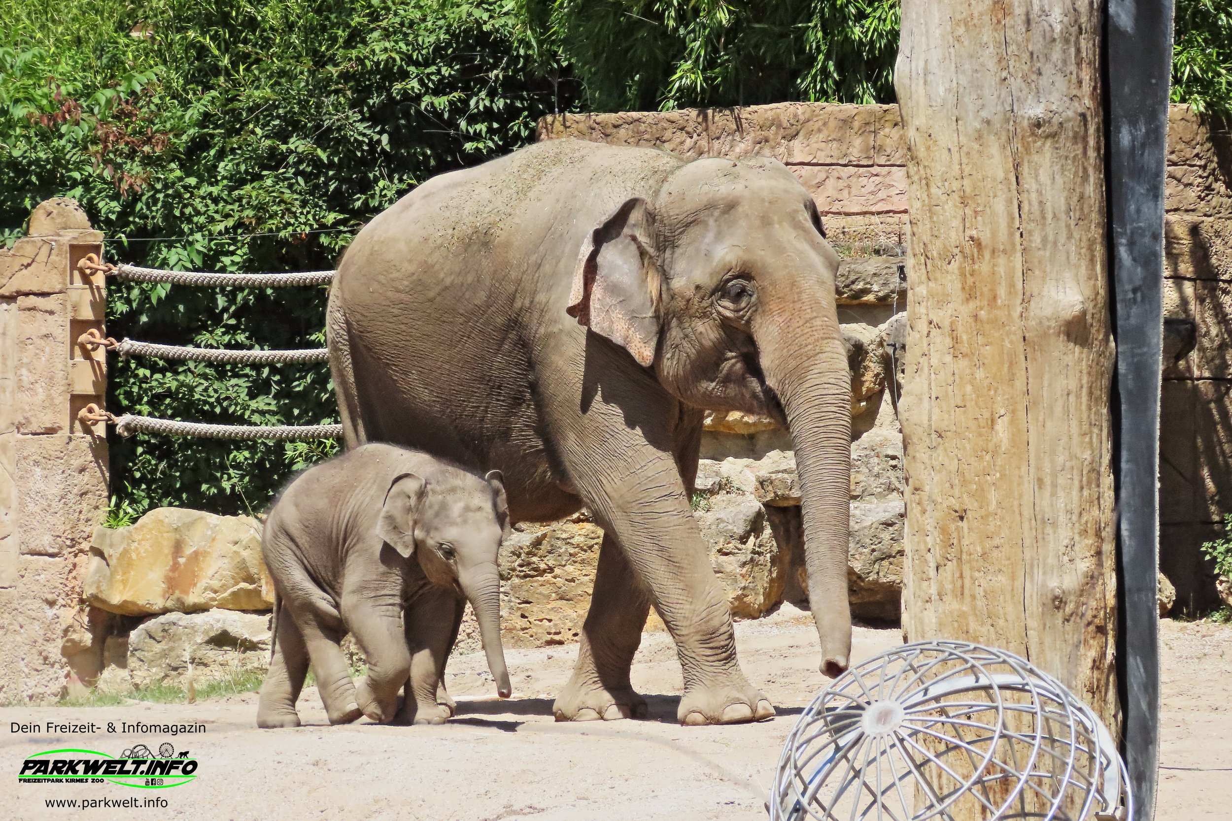 Zoo Leipzig Sachsen Tiere Ausflugsziel Park Plan Infos News Bilder Anfahrt Adresse Preise Parkplatz Attraktionen
