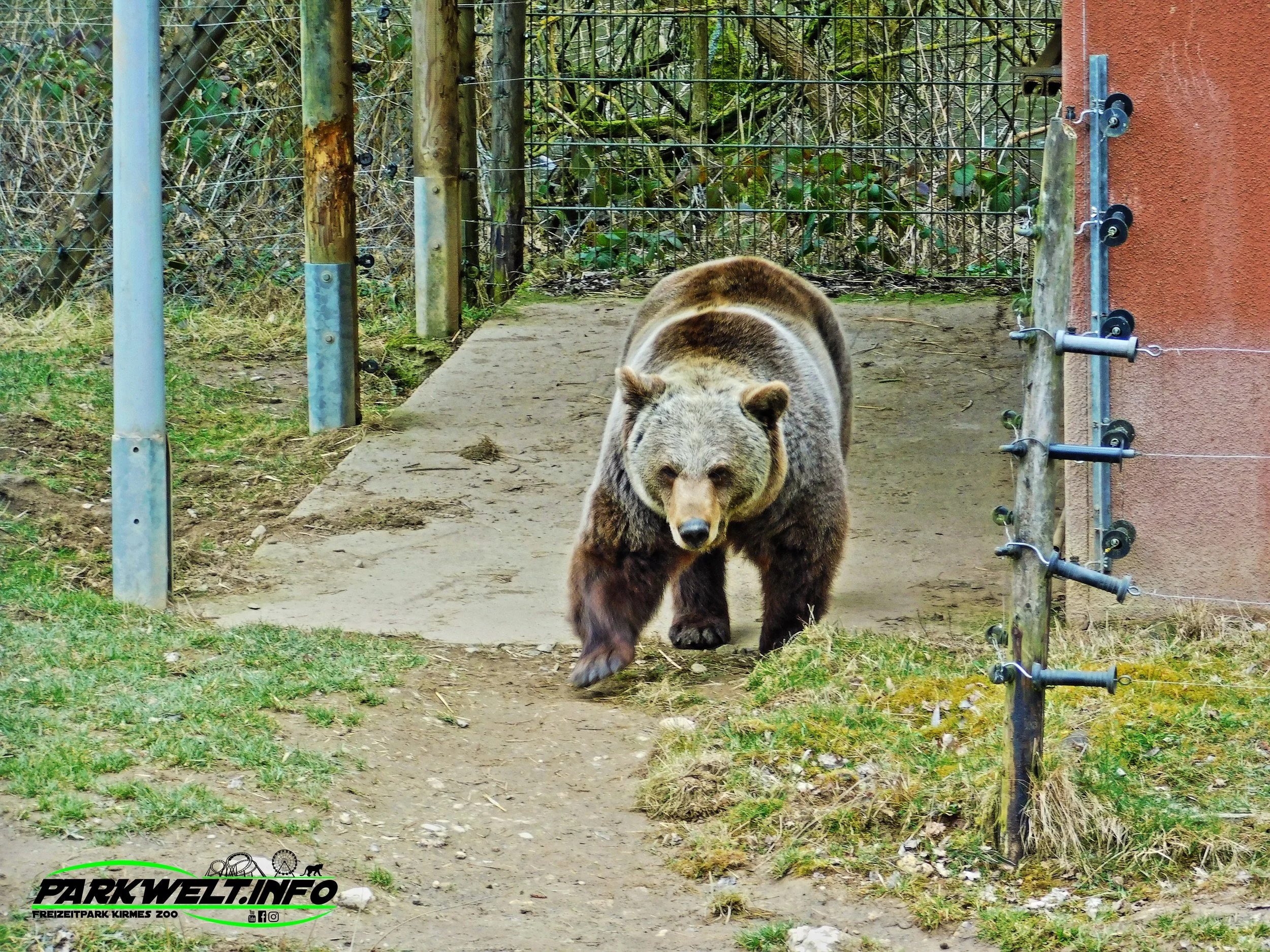 Tierpark Rheinböllen Wildpark Wildtiere Infos Parkplan Park Plan Map Guide Fotos Bilder Hochwildpark Wildtiere Adresse Anfahrt