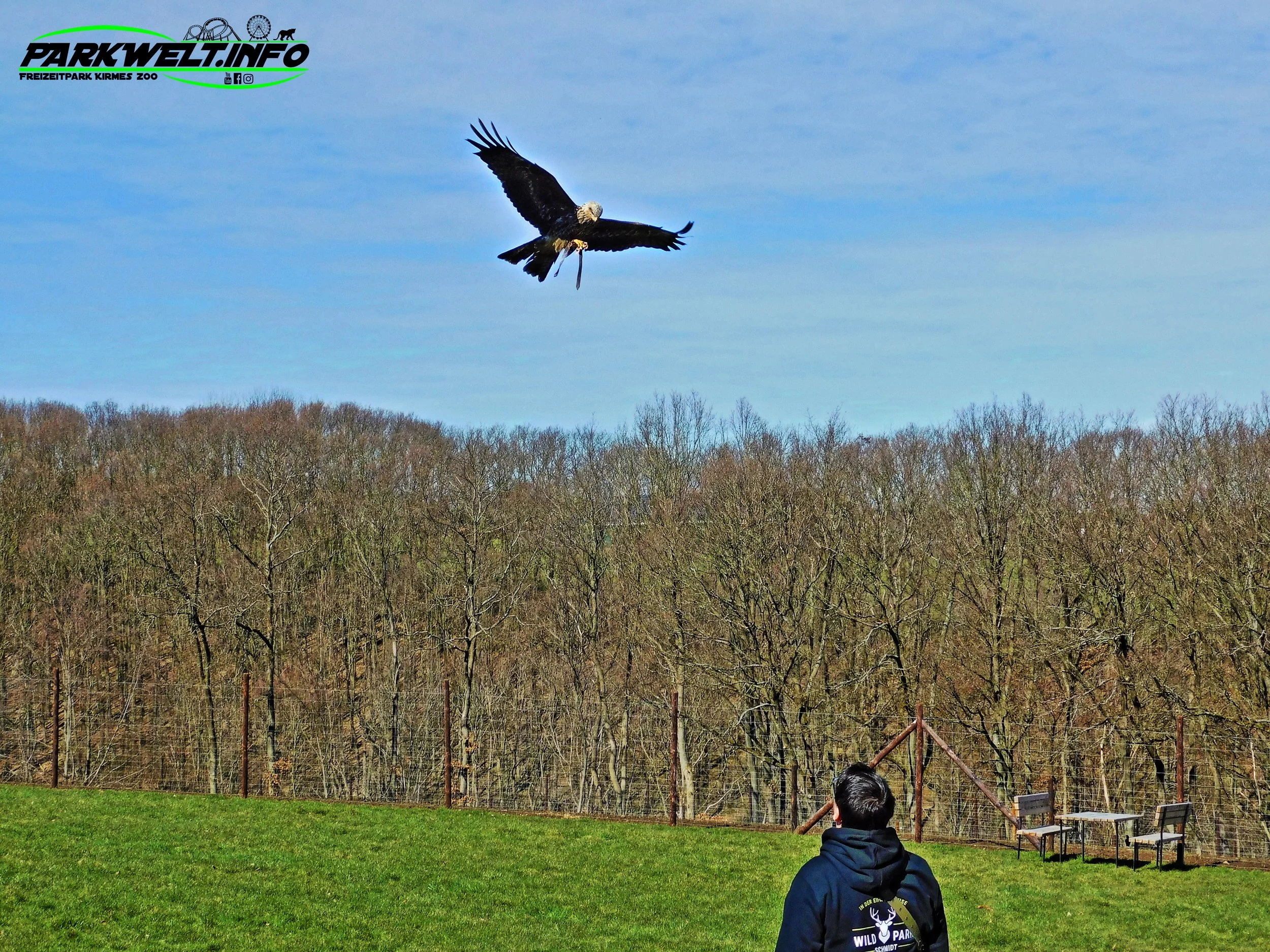 Wildpark Schmidt Tiere Zoo Infos News Park Plan Map Guide Adresse Parken Bilder Fotos Park Plan