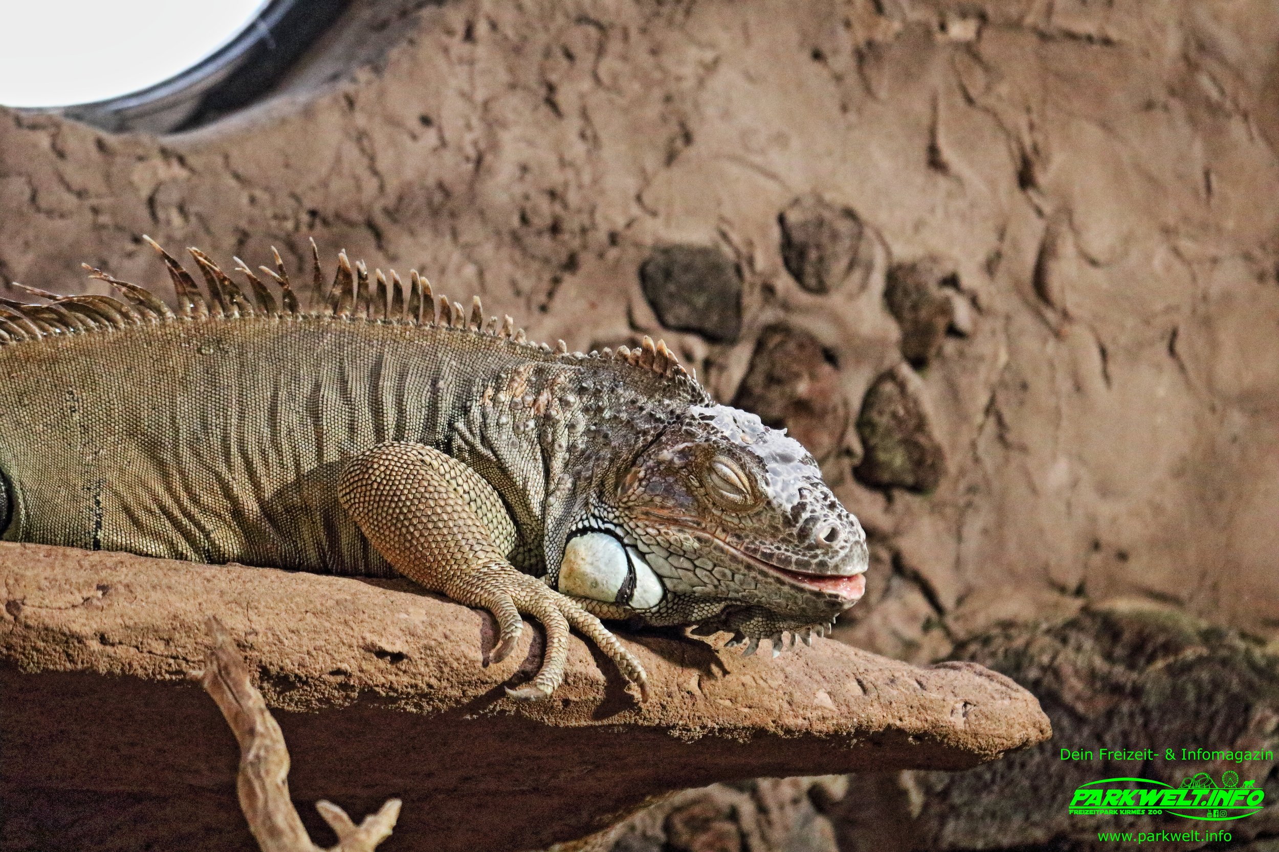 Zoo Osnabrück Niedersachsen Wildpark Infos Tiere Parkplan Park Plan Adresse Anfahrt Parkplatz Preise Aquarium