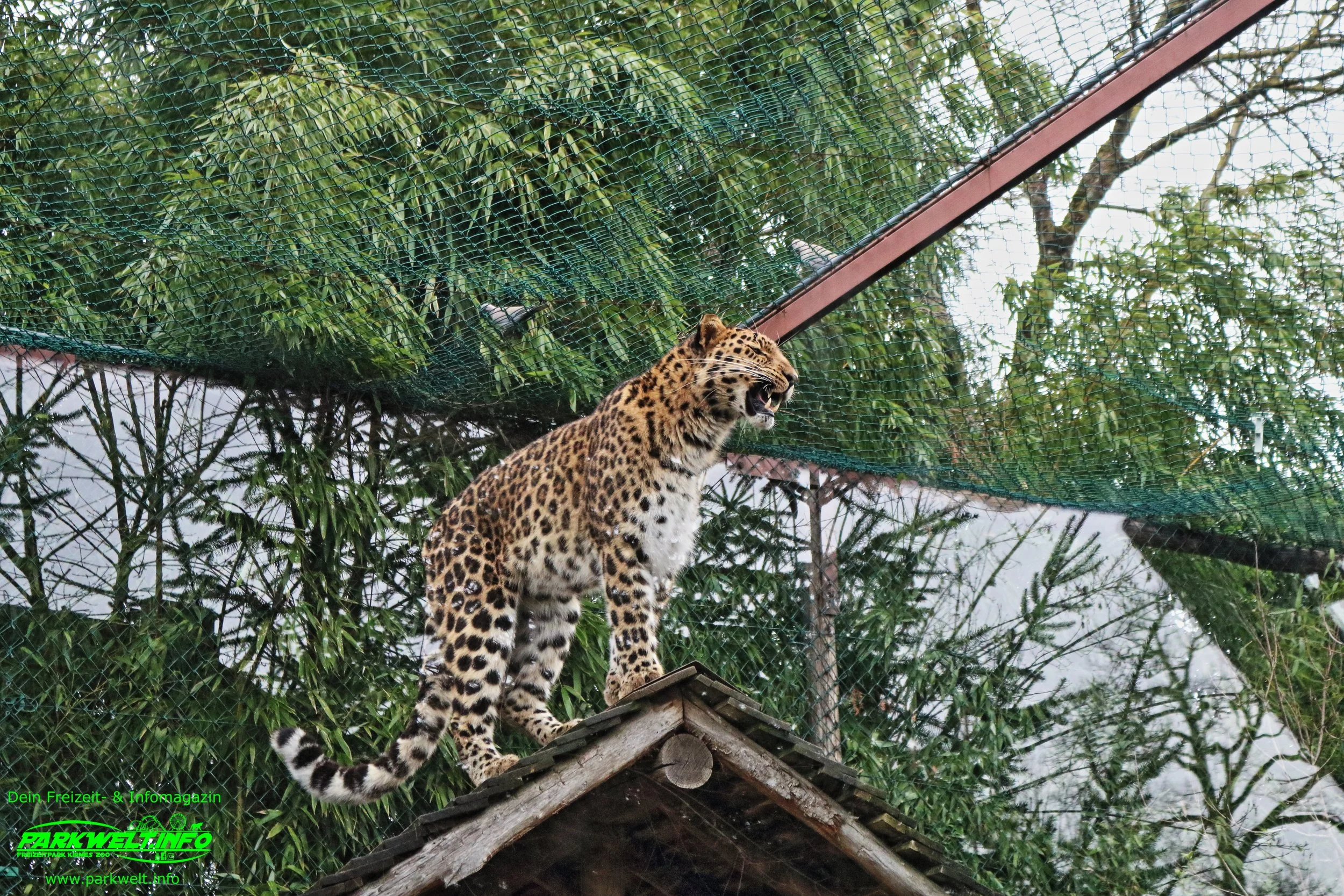 Zoo Amneville Tierpark Frankreich Tiere Ausflug Park Plan Plan du Parc Öffnungszeiten Adresse Parkplatz Familie