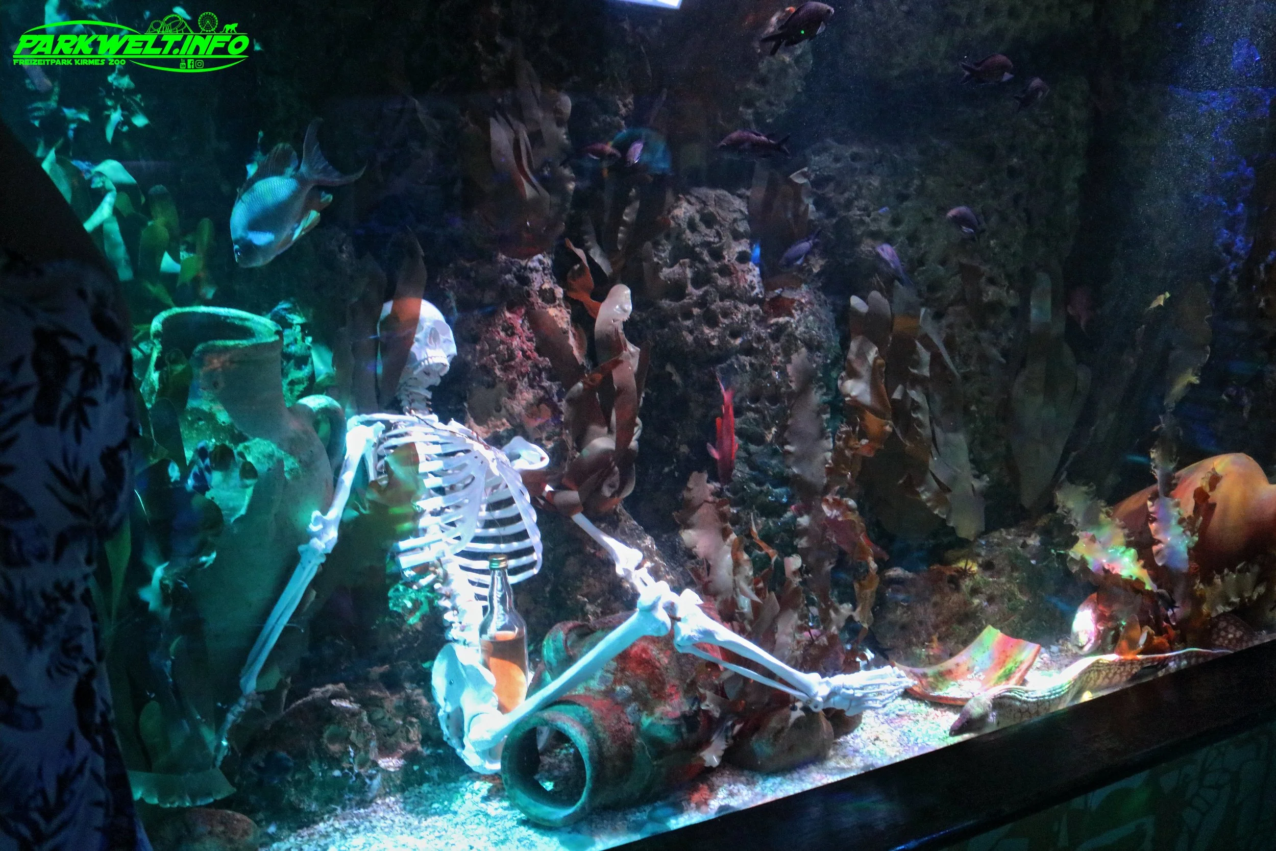Sea Life Timmendorfer Strand Aquarium Infos Bilder Anfahrt Parkplatz Adresse Attraktionen Preise