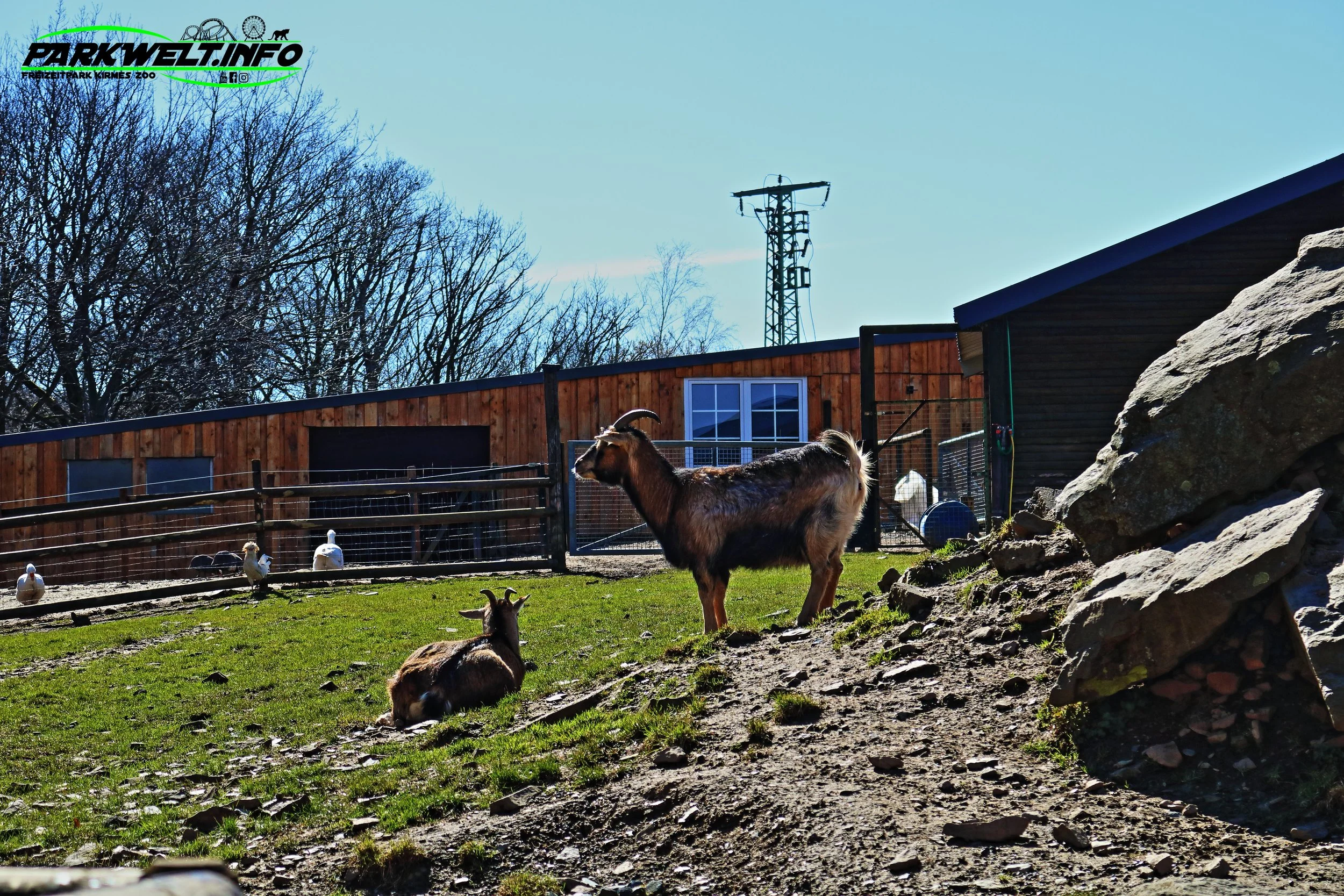 Wildpark Schmidt Tiere Zoo Infos News Park Plan Map Guide Adresse Parken Bilder Fotos Park Plan