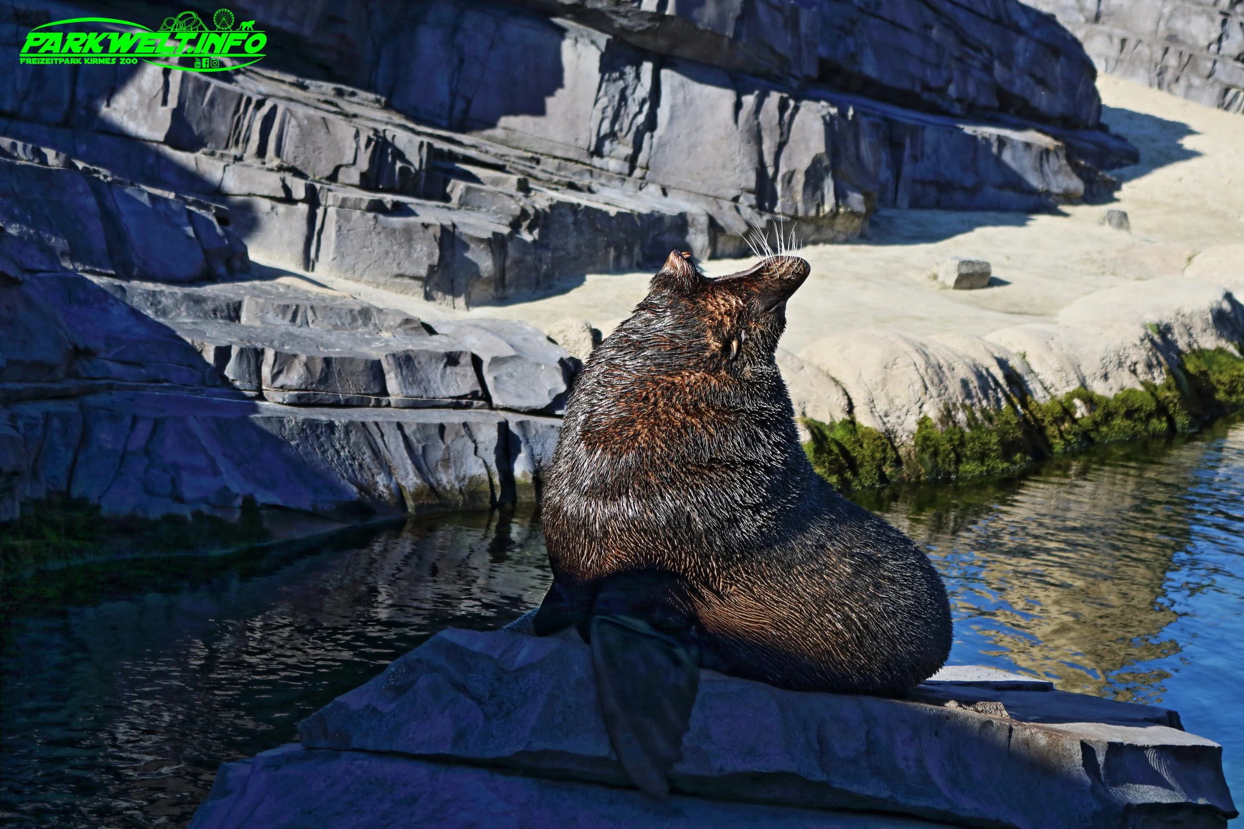 Wild Lands Wildlands Adventure Zoo Emmen Niederlande Netherlands Holland Park Plan Achterbahn Rollercoaster Safari Wildpark Ausflugsziel Attractiepark Themepark Freizeitpark Attraktionen Bilder Anfahrt Tweestryd Rimbula River Bootsfahrt