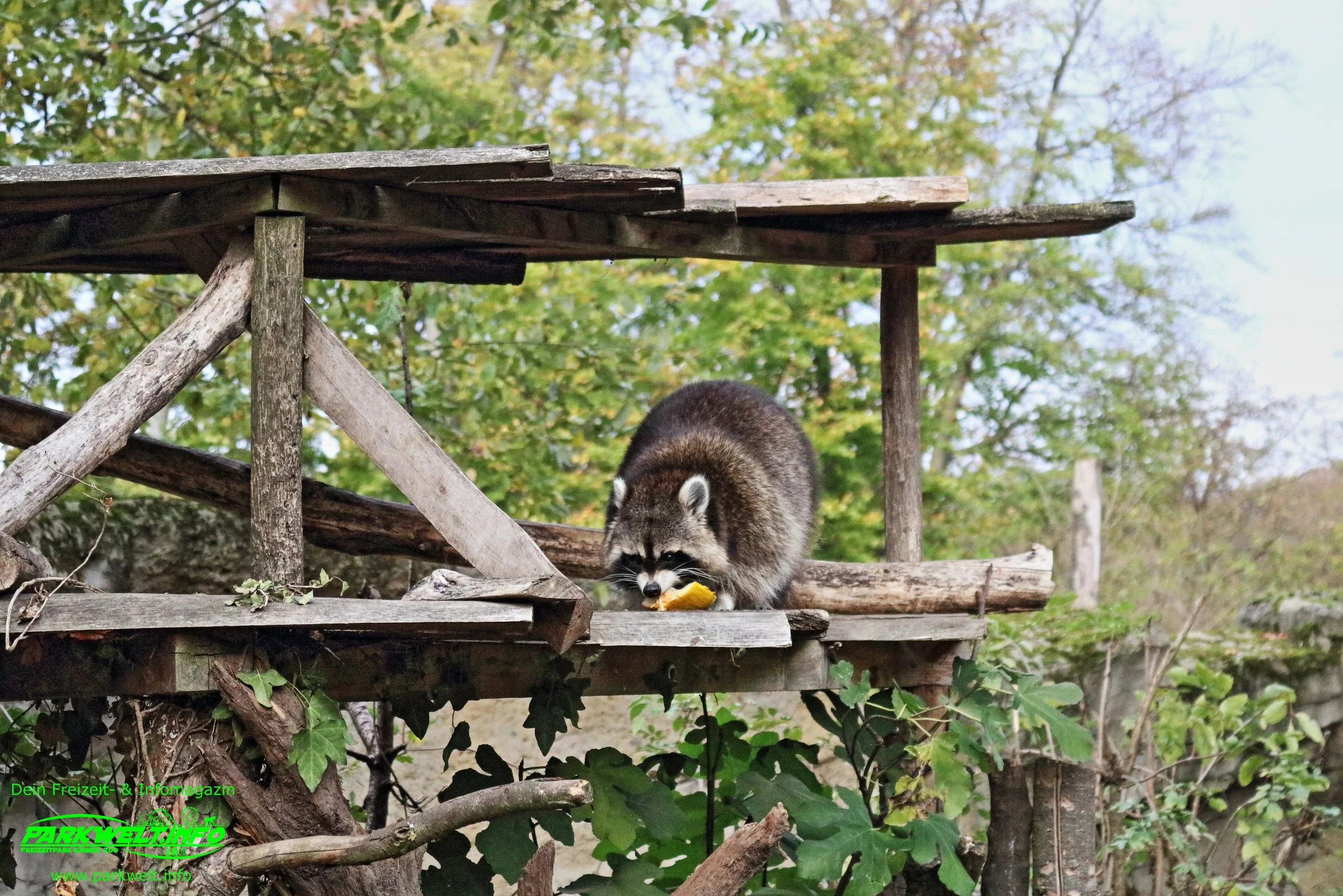 Zoo Osnabrück Niedersachsen Wildpark Infos Tiere Parkplan Park Plan Adresse Anfahrt Parkplatz Preise Aquarium