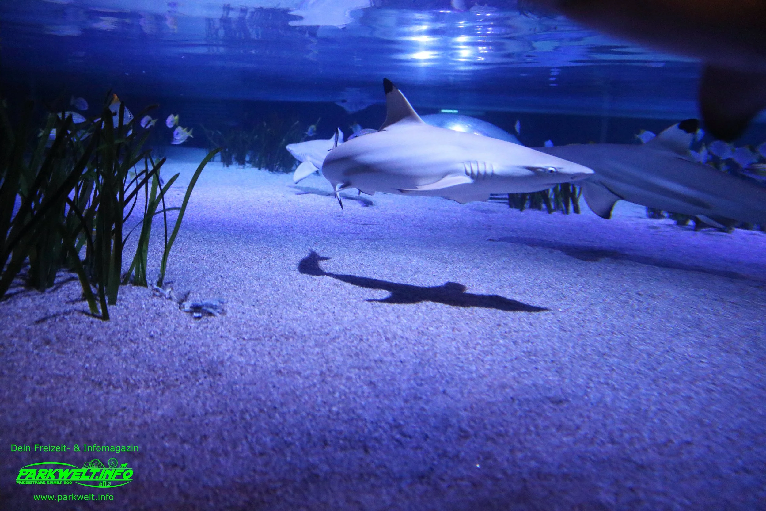 Sea Life Oberhausen Nordrhein Westfalen Aquarium Ausflugsziel Bilder Parkplan Park Plan map guide Adresse Anfahrt Info Preise Ticket Centro
