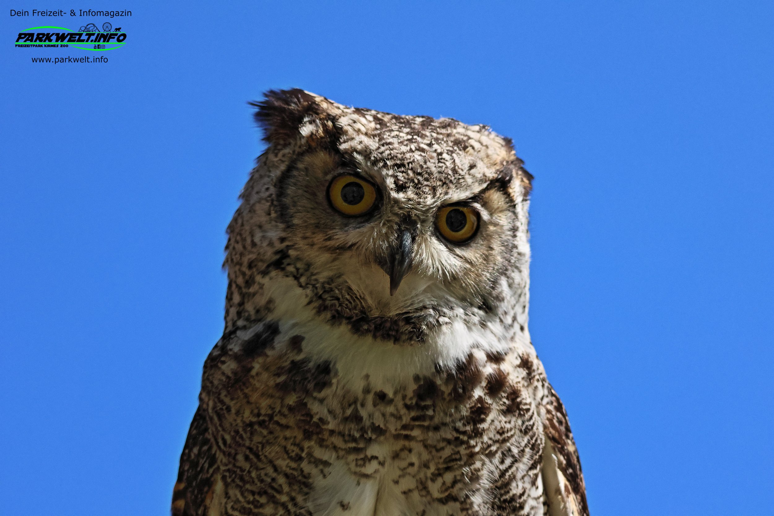 Kurpfalz Park Freizeitpark Wachenheim Tiere Attraktionen Wildpark