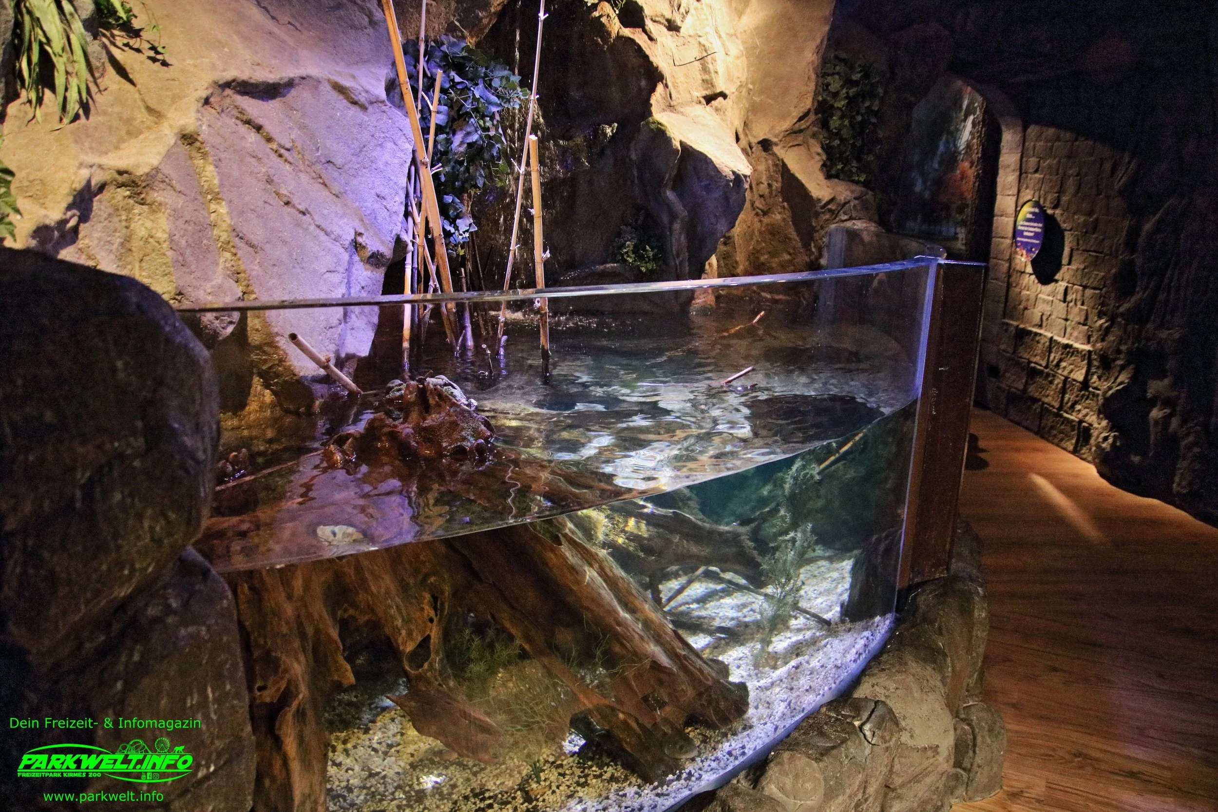 sea life speyer rheinland pfalz ausflugsziel aquarium info news bilder adresse merlin rabatt parkplatz adresse preise