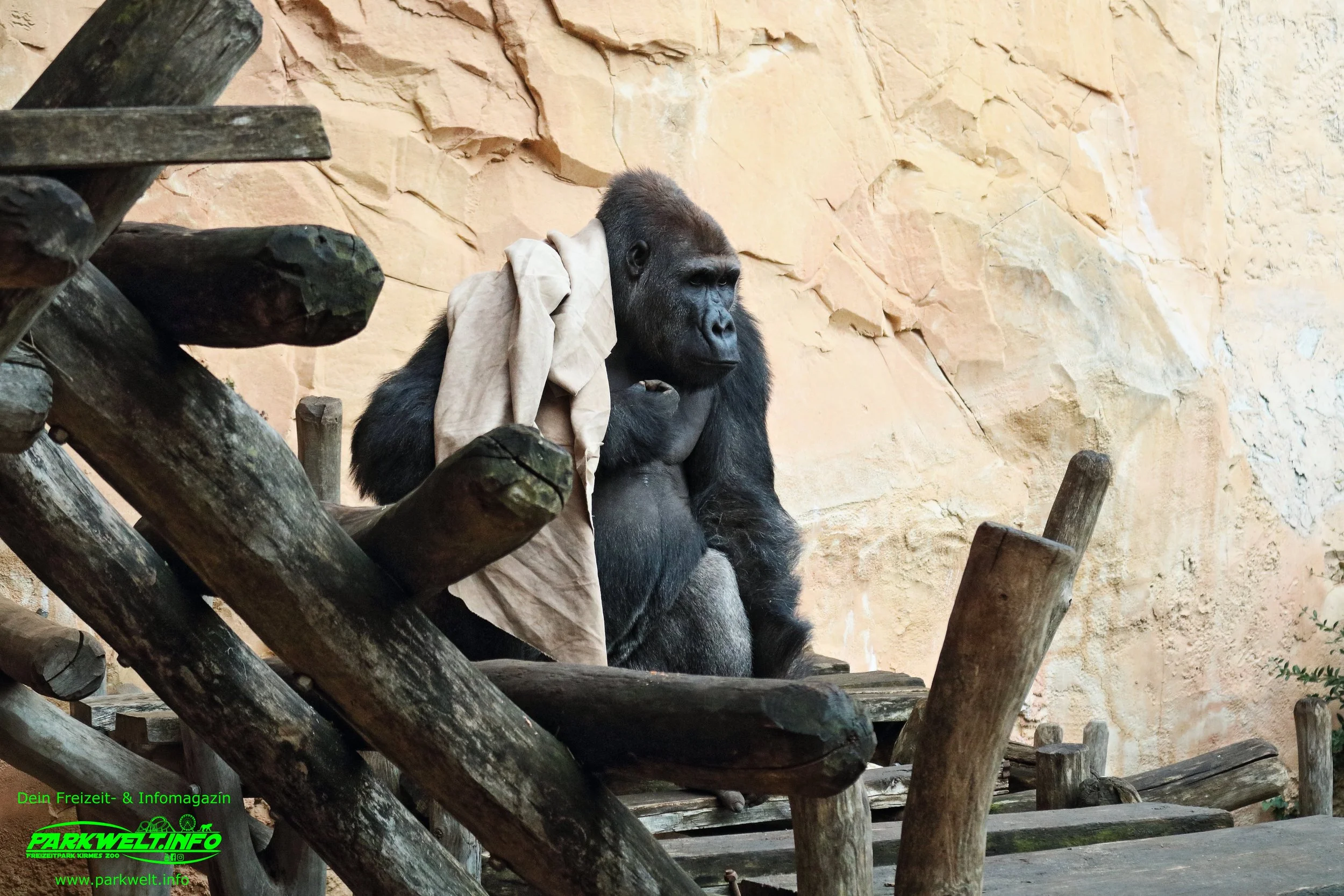 Gorilla Camp Zoo Amneville Tierpark Frankreich Tiere Ausflug Park Plan Plan du Parc Öffnungszeiten Adresse Parkplatz Familie