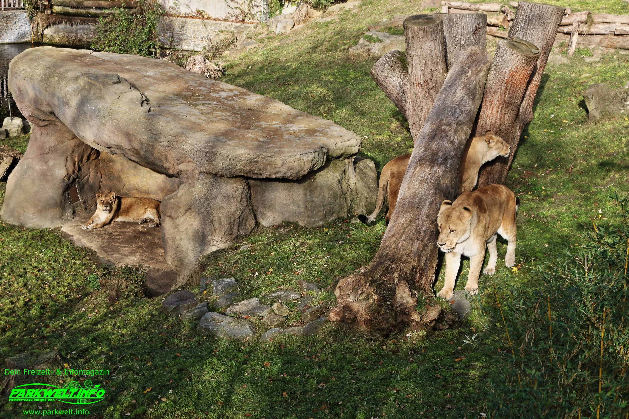 Zoo Osnabrück Niedersachsen Wildpark Infos Tiere Parkplan Park Plan Adresse Anfahrt Parkplatz Preise Aquarium