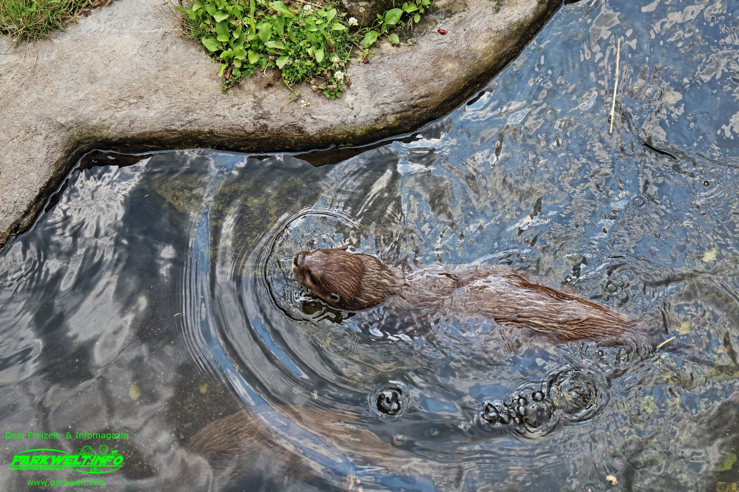 Sea Life Oberhausen Nordrhein Westfalen Aquarium Ausflugsziel Bilder Parkplan Park Plan map guide Adresse Anfahrt Info Preise Ticket Centro