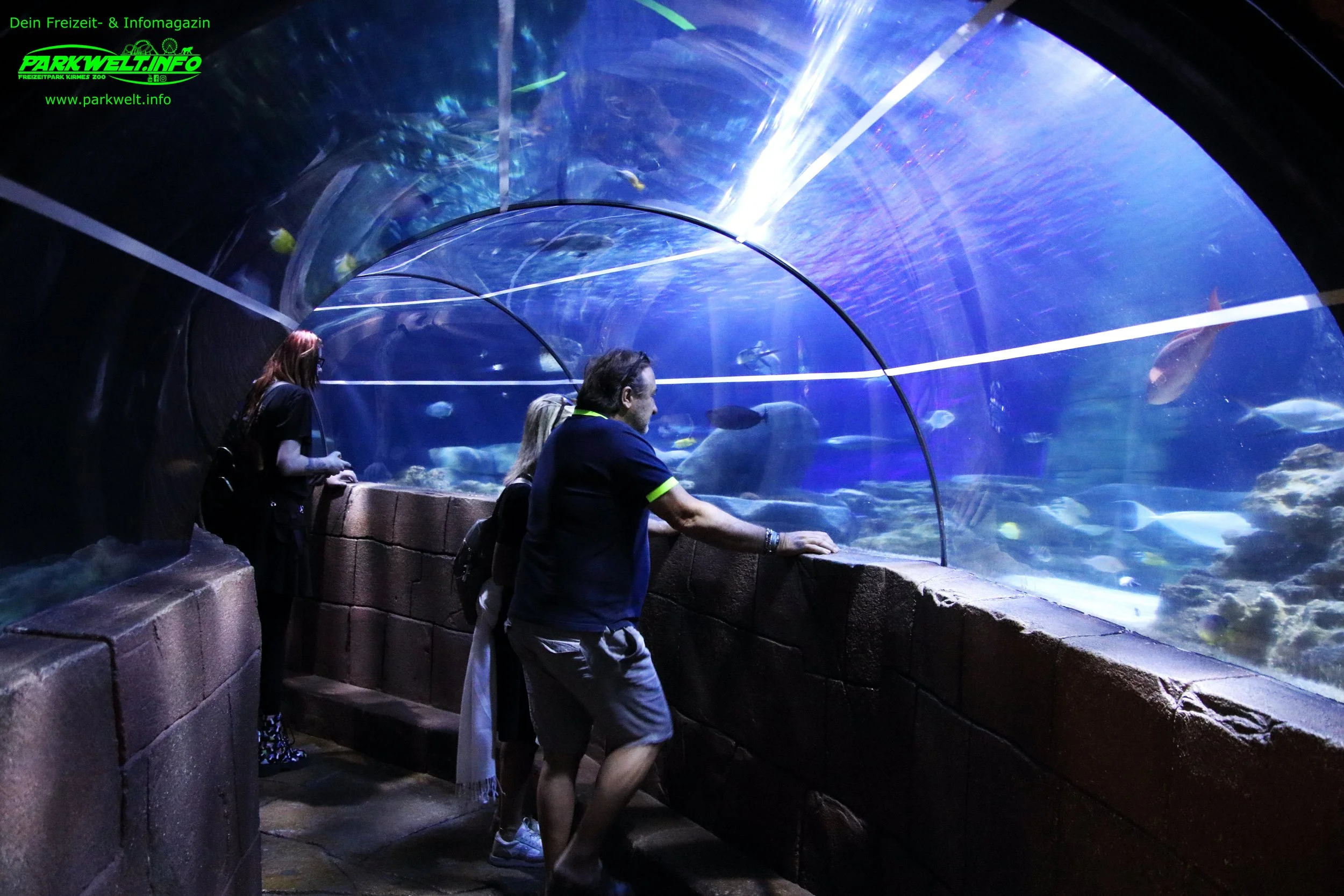 Sea Life Hannover Aquarium Ausflugsziel Fische Niedersachsen Merlin Familienzeit Rabatt Attraktionen Park Plan Bilder Anfahrt Adresse