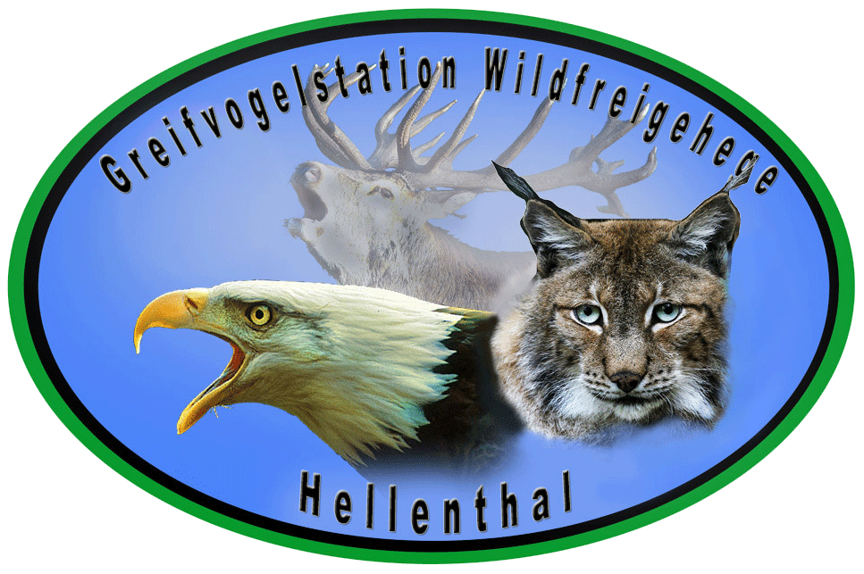 Greifvogelstation Wildfreigehege Hellenthal Wildpark Vogelpark Tierpark Infos Preise Anfahrt Map Guide Park Plan Fotos Bilder