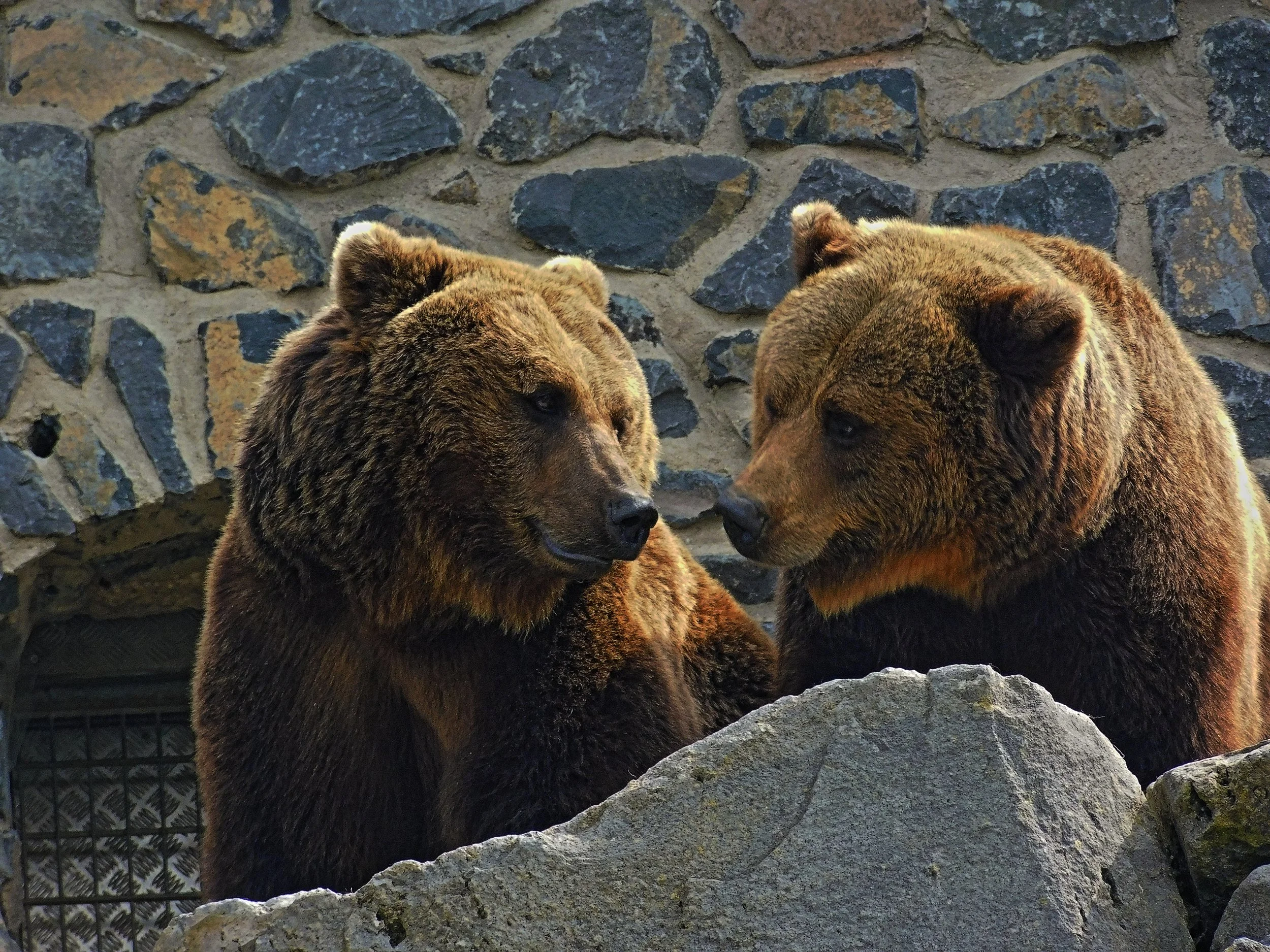 klotti Park klotten wildpark freizeitpark wild attraktionen tiere