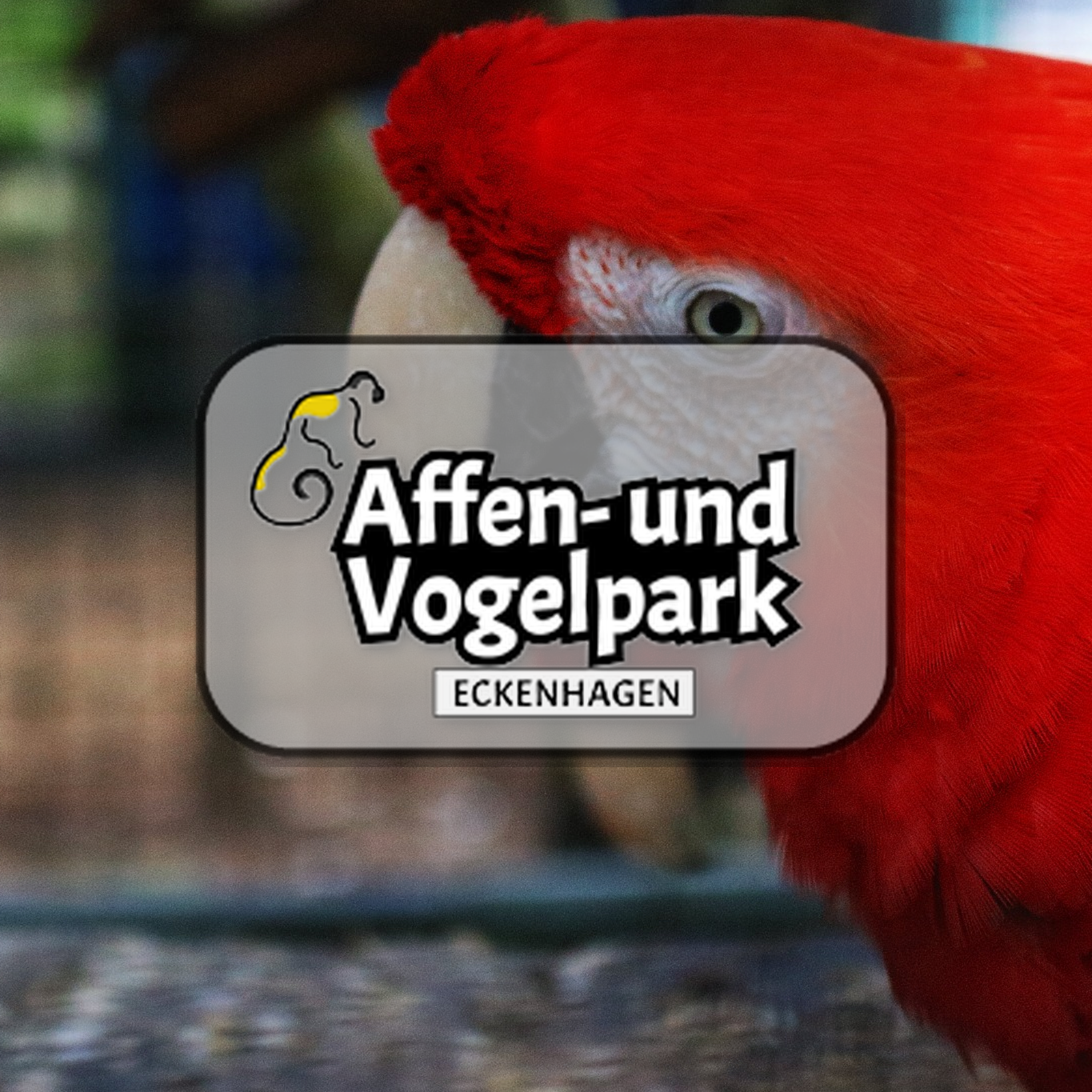  Vogelpark in Eckenhagen Affen und Vogelpark Eckenhagen Tierpark Zoo Nordrhein Westfalen Affen und Vogelpark Eckenhagen Tierpark Wildpark Zoo Nordrhein Westfalen Zoo Wildpark Park Plan Info Anfahrt Bilder Fotos Attraktionen Fahrgeschäfte Vögel Affe 