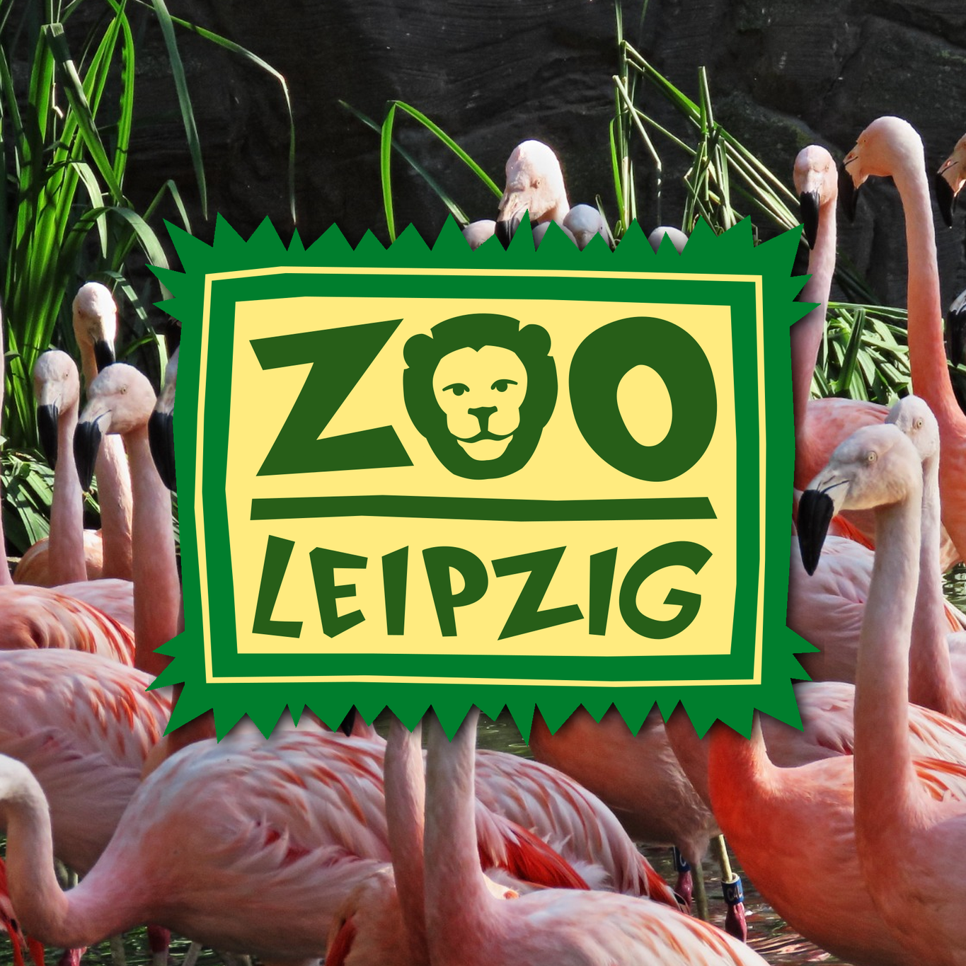 Zoo Leipzig Sachsen Tiere Ausflugsziel Park Plan Infos News Bilder Anfahrt Adresse Preise Parkplatz Attraktionen