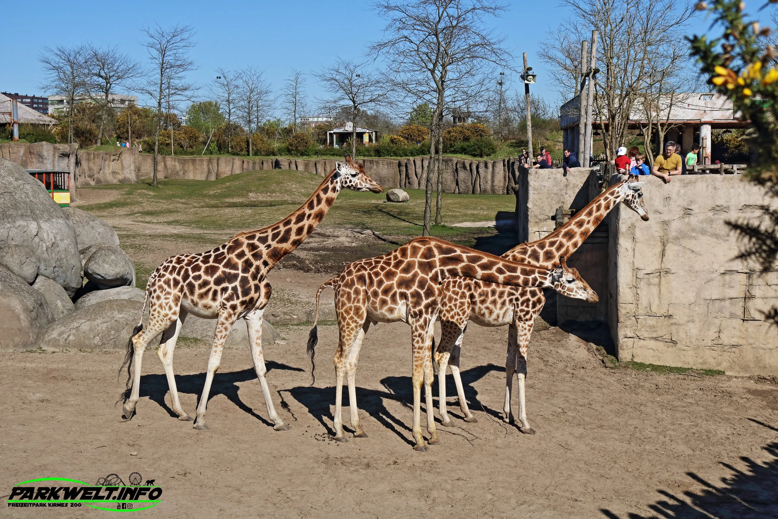 Wild Lands Wildlands Adventure Zoo Emmen Niederlande Netherlands Holland Park Plan Achterbahn Rollercoaster Safari Wildpark Ausflugsziel Attractiepark Themepark Freizeitpark Attraktionen Bilder Anfahrt Tweestryd Rimbula River Bootsfahrt