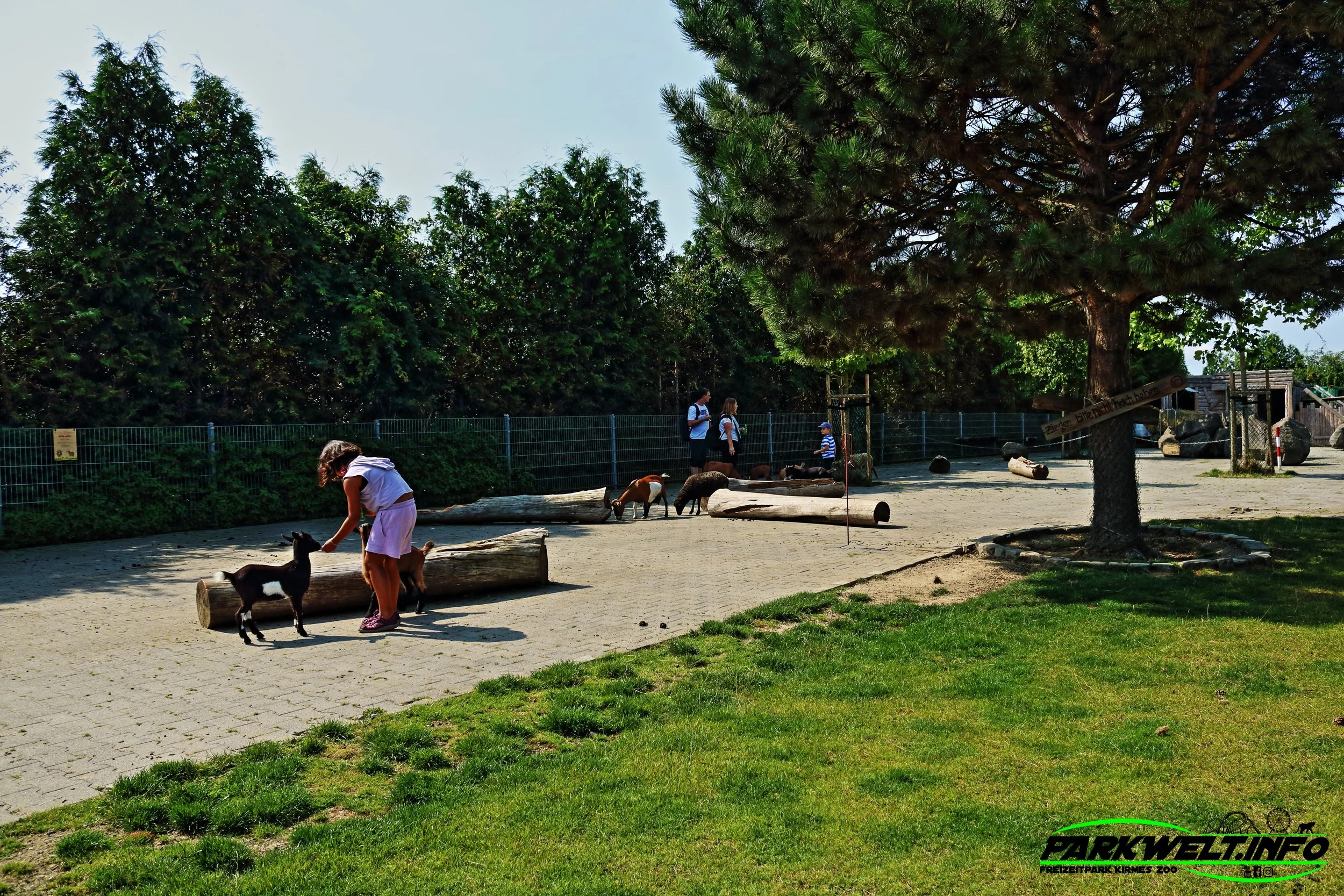 tolli park mayen familien park erlebnispark attraktionen erlebnispark kinder indoor