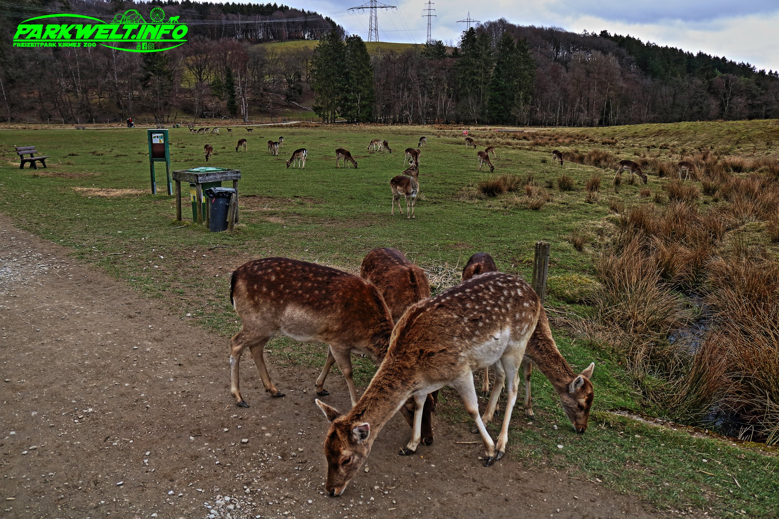 Tierpark Rheinböllen Wildpark Wildtiere Infos Parkplan Park Plan Map Guide Fotos Bilder Hochwildpark Wildtiere Adresse Anfahrt