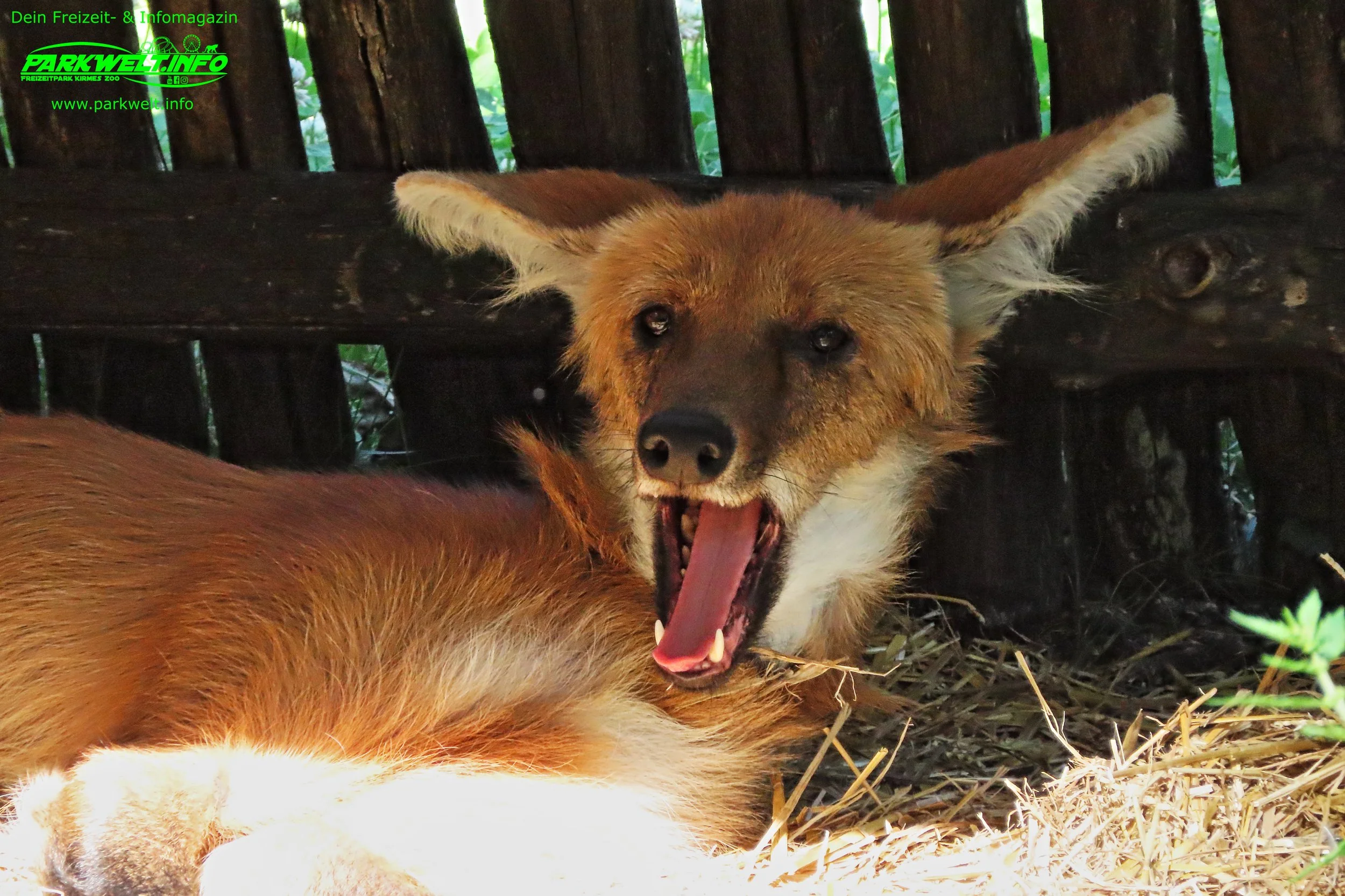 Zoo Leipzig Sachsen Tiere Ausflugsziel Park Plan Infos News Bilder Anfahrt Adresse Preise Parkplatz Attraktionen